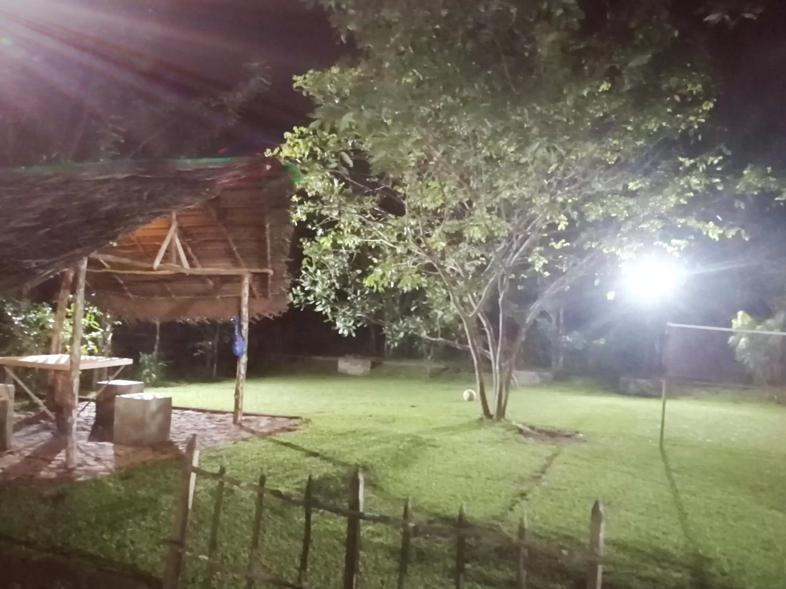 Garden in Green Cottage