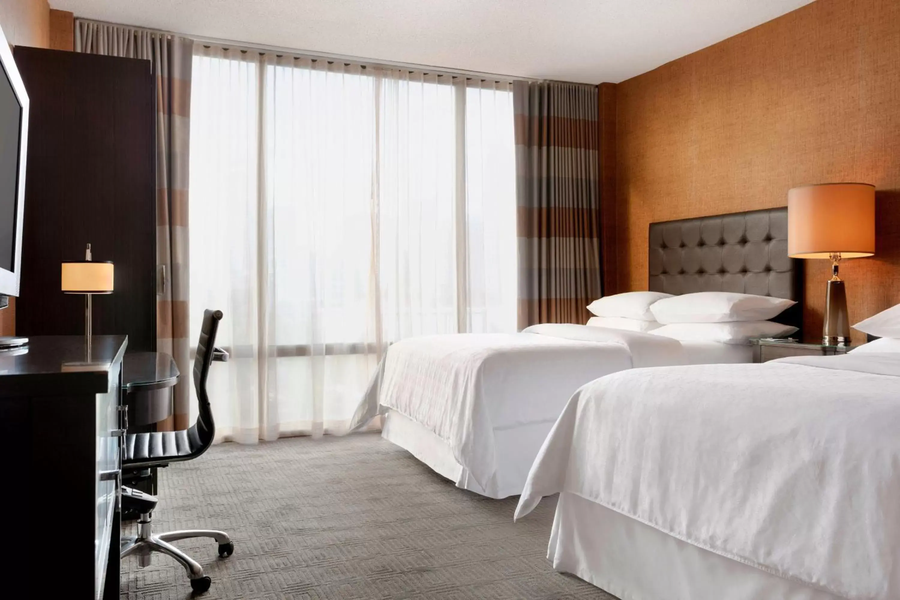 Club level, Guest room, 2 Double in Sheraton Charlotte Hotel Club level, Guest room, 2 Double in Sheraton Charlotte Hotel