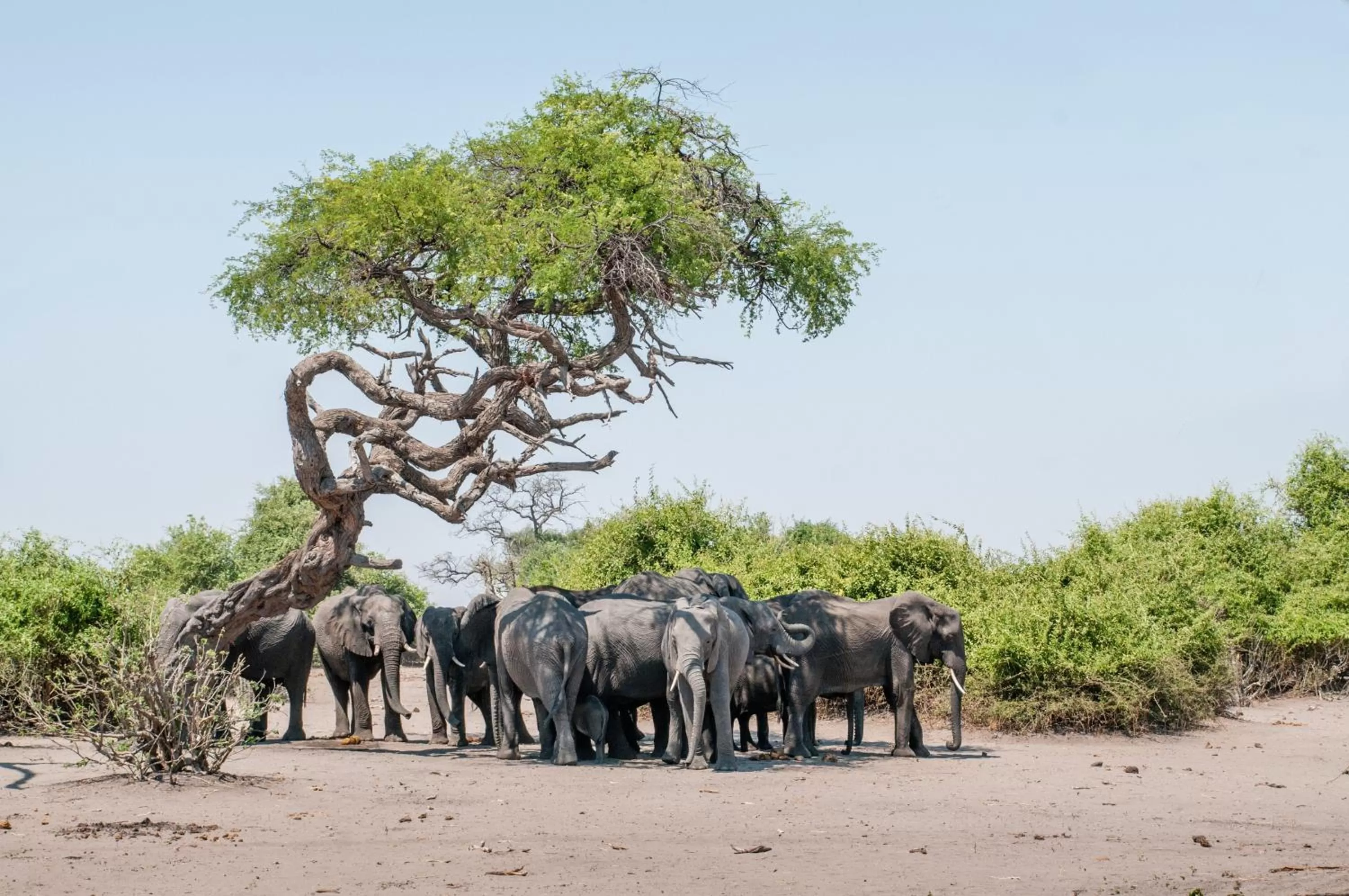 Nearby landmark in Okavango Lodge