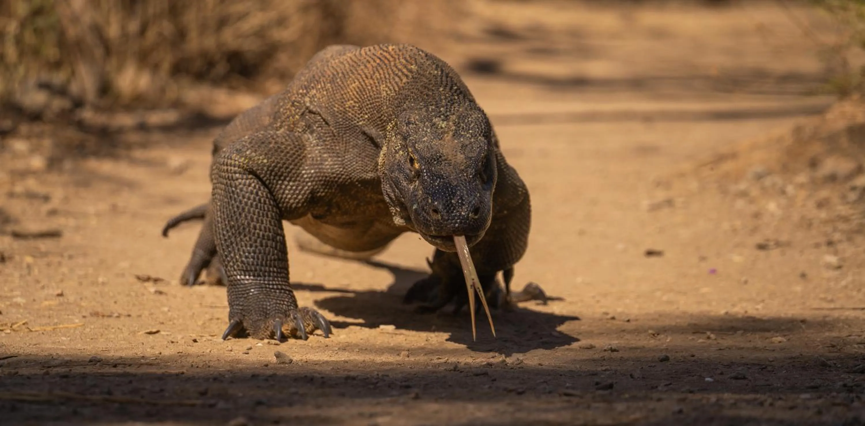 Nearby landmark in Menjaga Bay