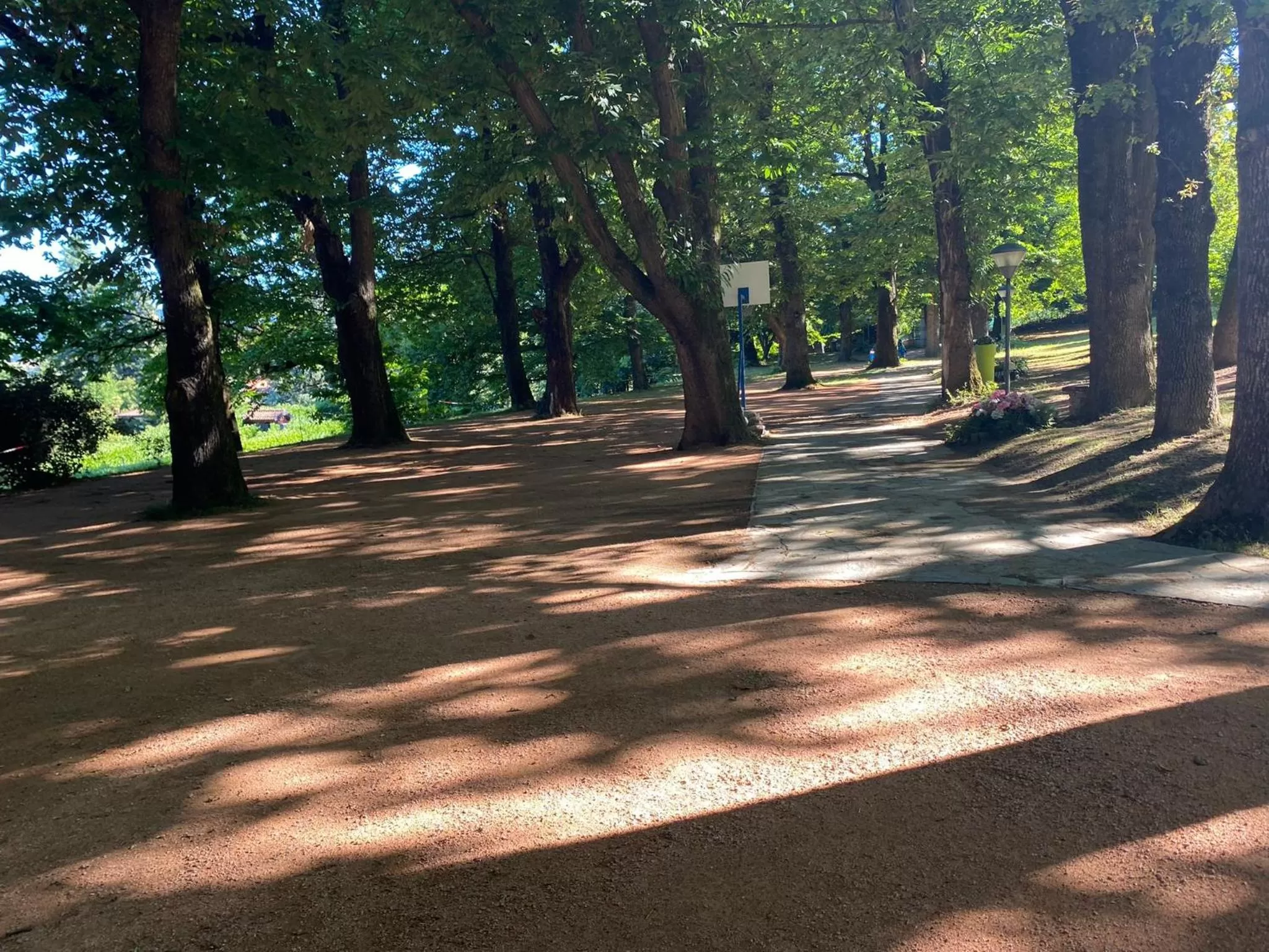 "La Selvetta" bed and breakfast