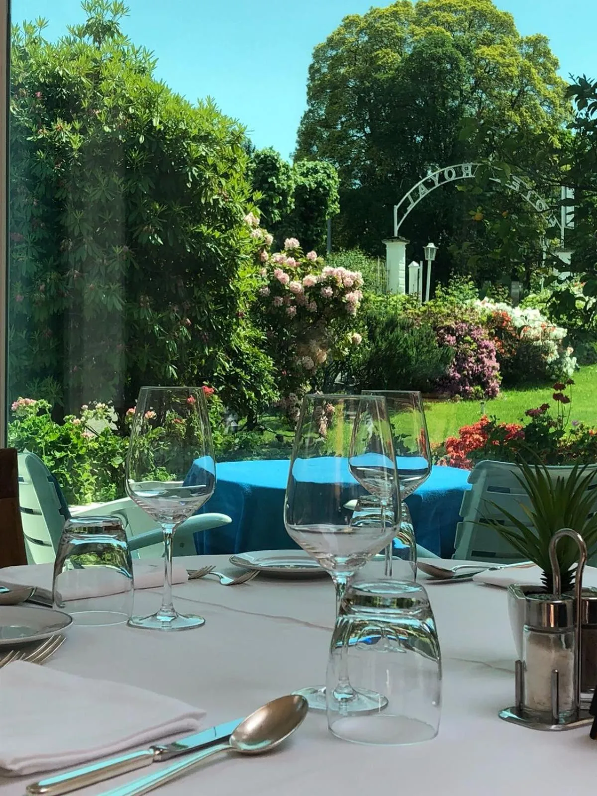 Restaurant/places to eat in Hotel Royal