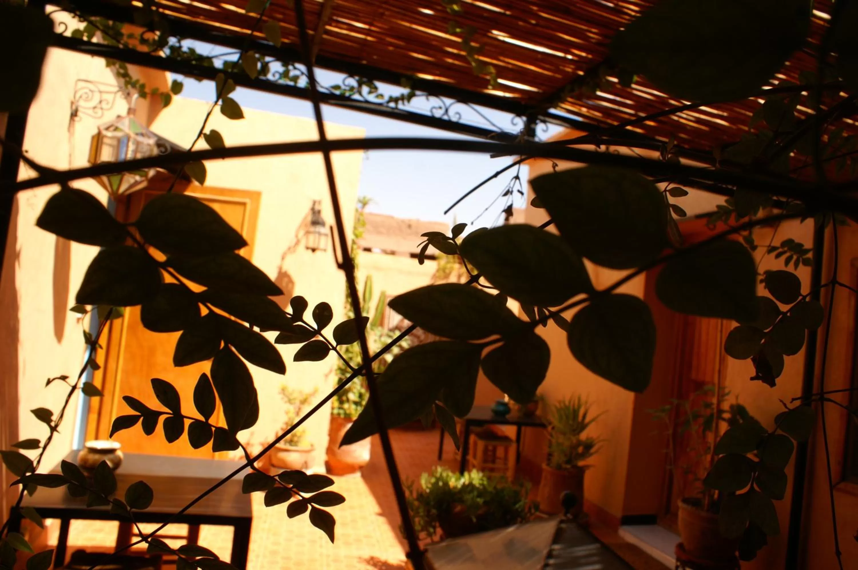 Decorative detail in Maison d'hôtes Dar El Nath