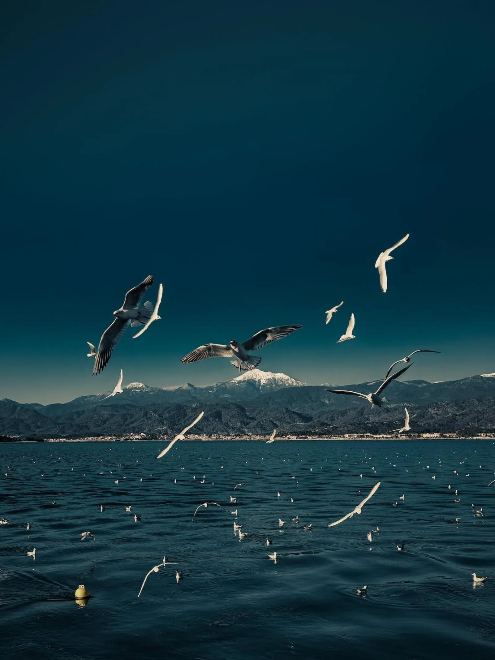 Nearby landmark in Morro Bay Beach Inn