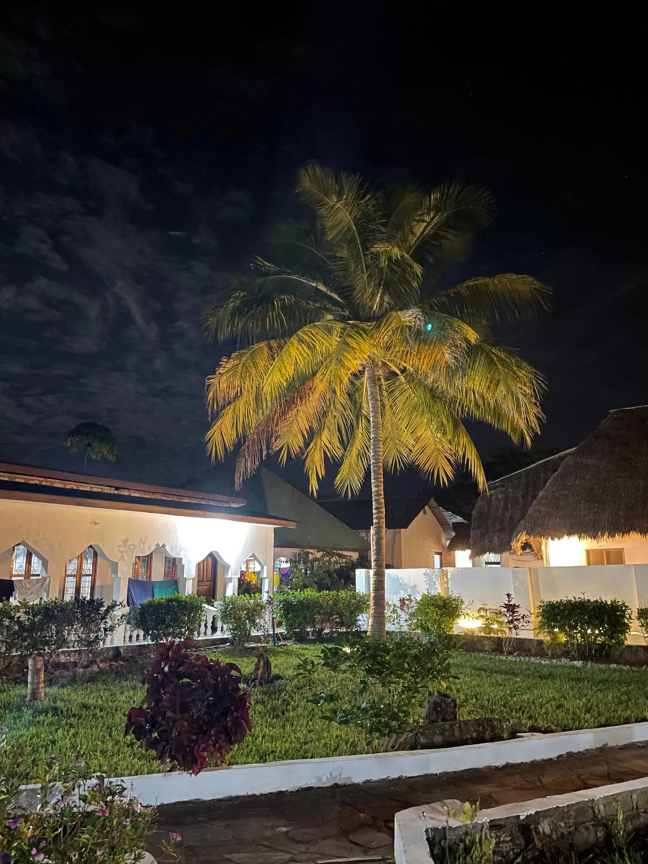 Garden view in Kihori Nungwi