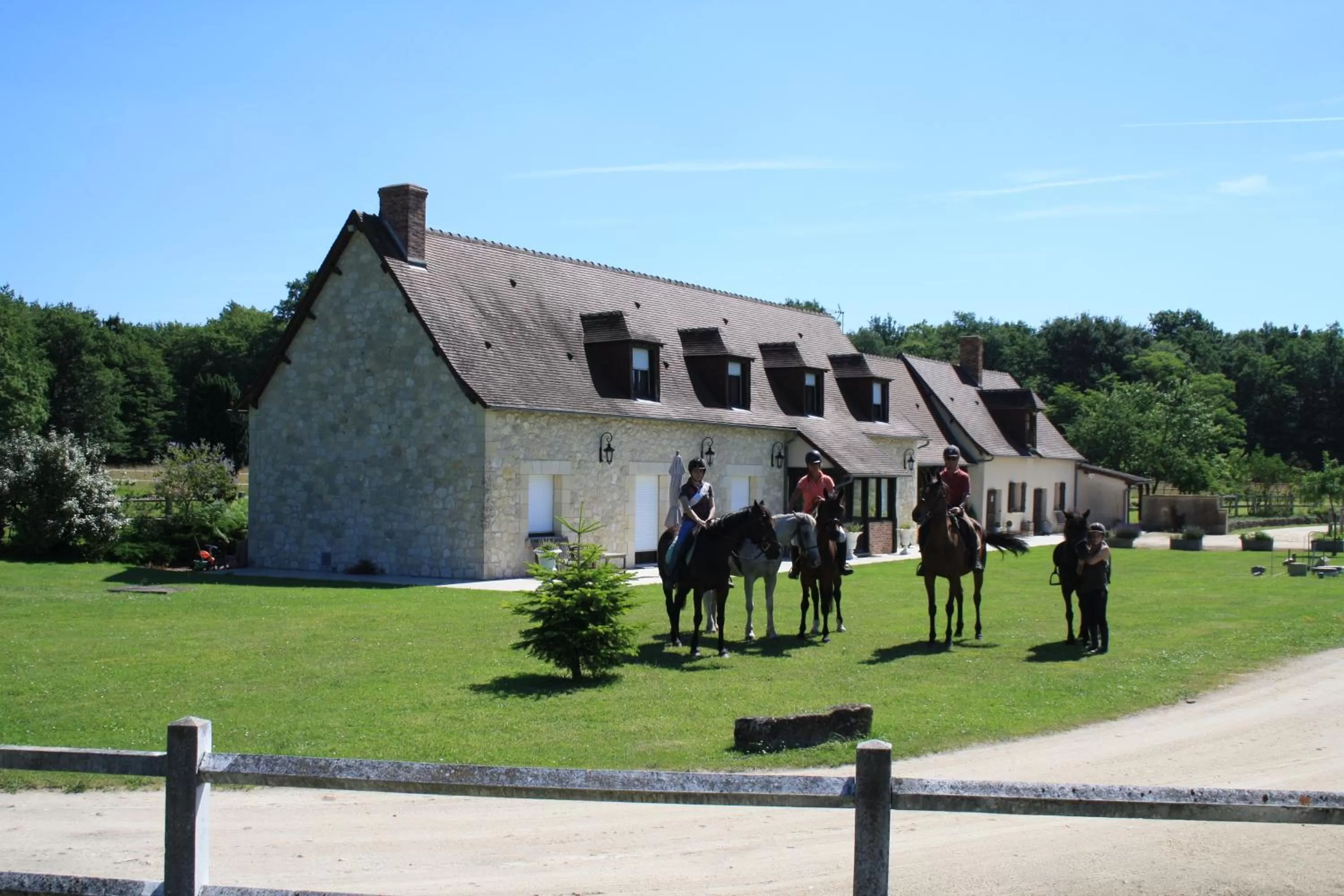 Horse-riding in Chambres et Table d'Hôtes Les Machetières