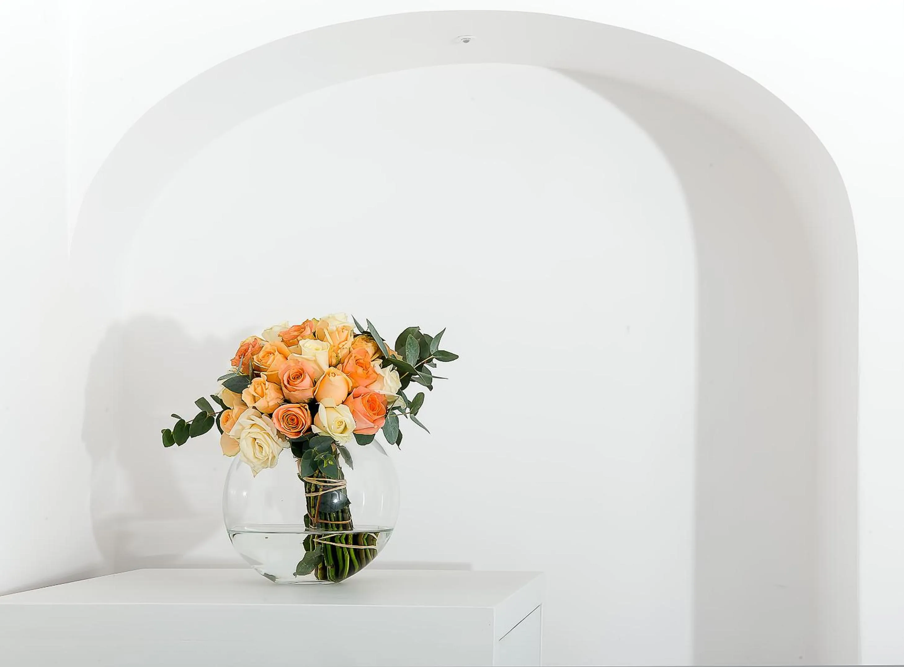 Other in Tramonto d'Oro