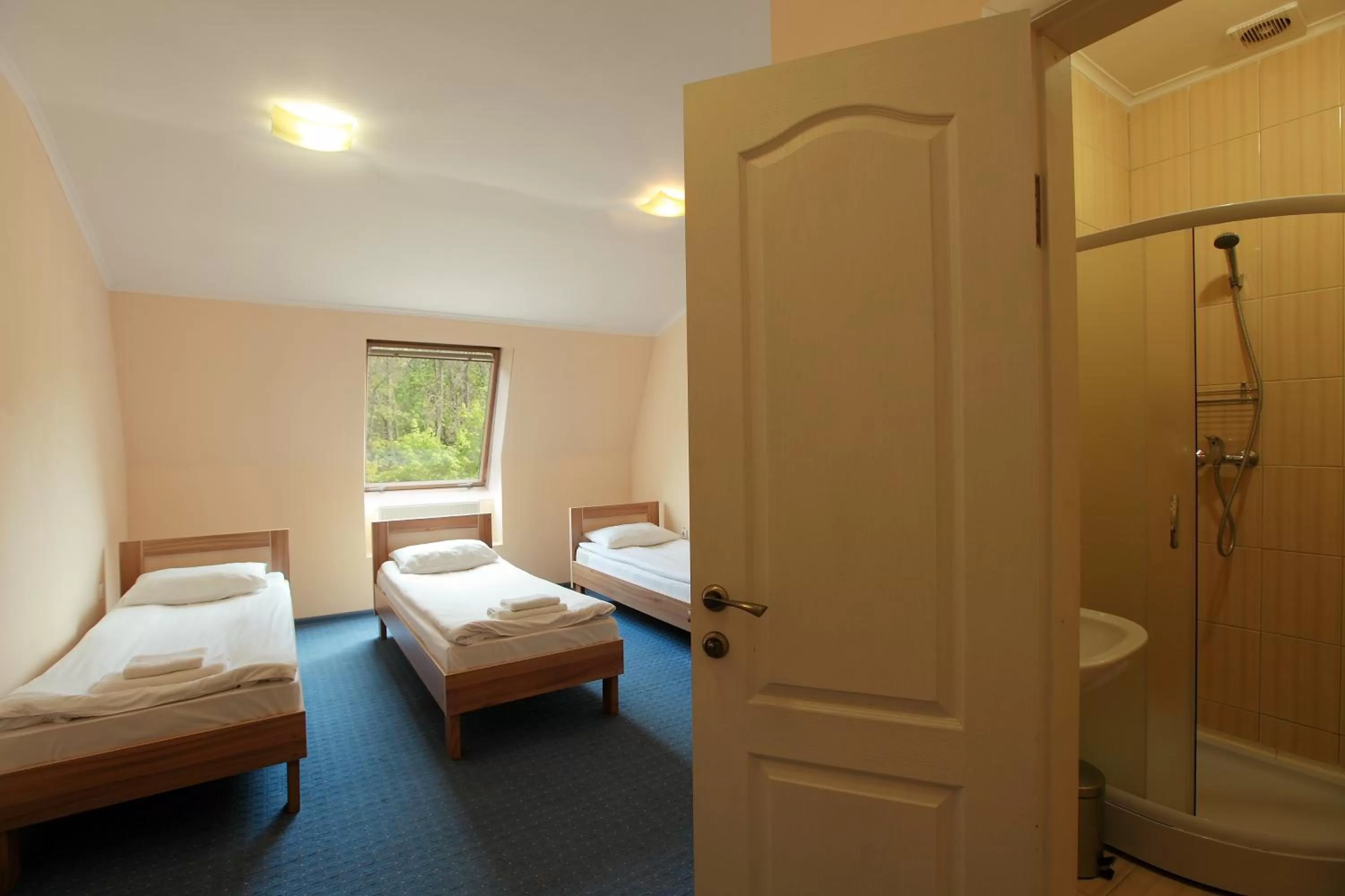 Shower, Bed in Budget Hotel Ekotel