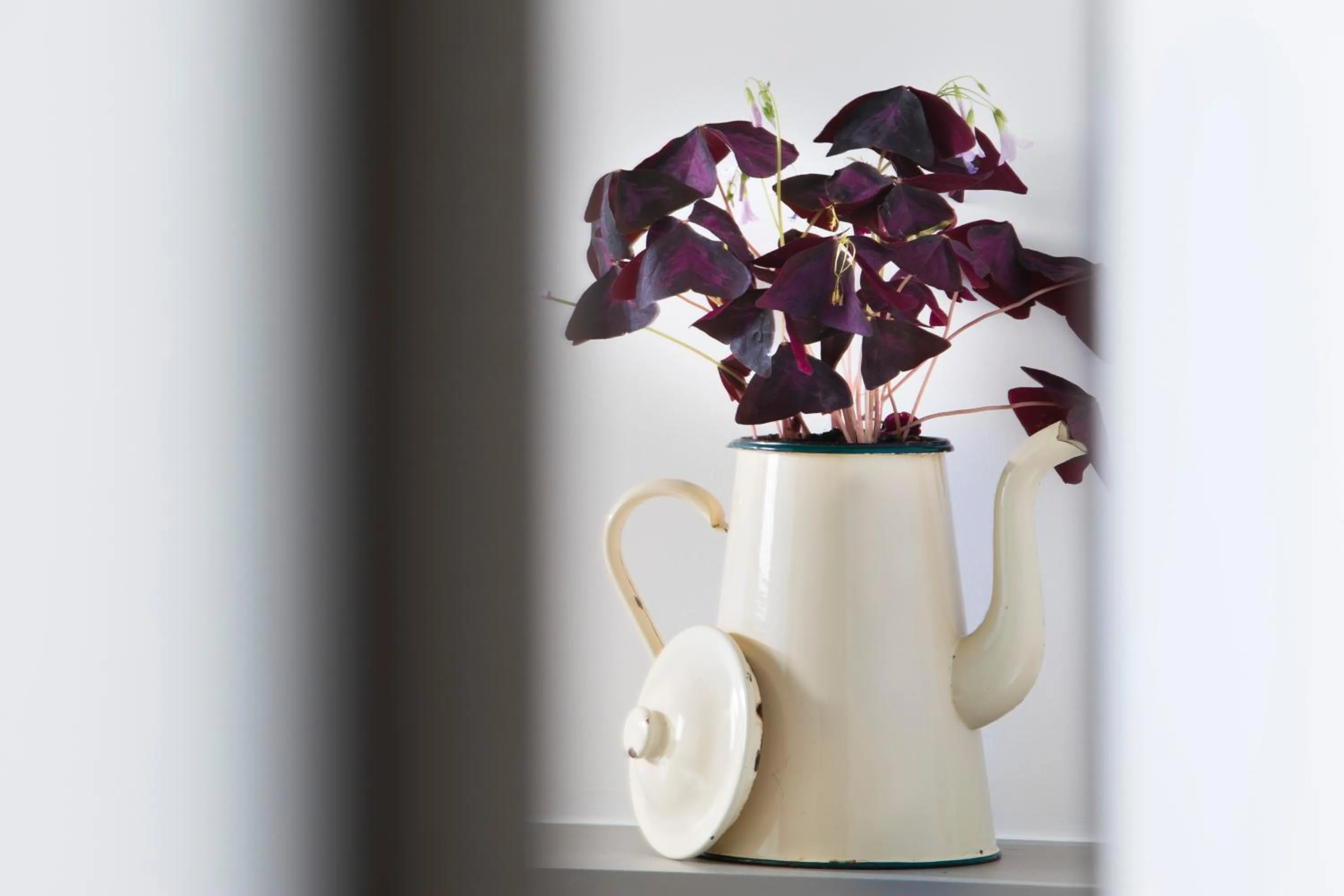 Decorative detail in Hôtel Les Deux Girafes