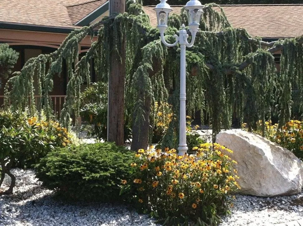 Garden in Cheshire Welcome Inn