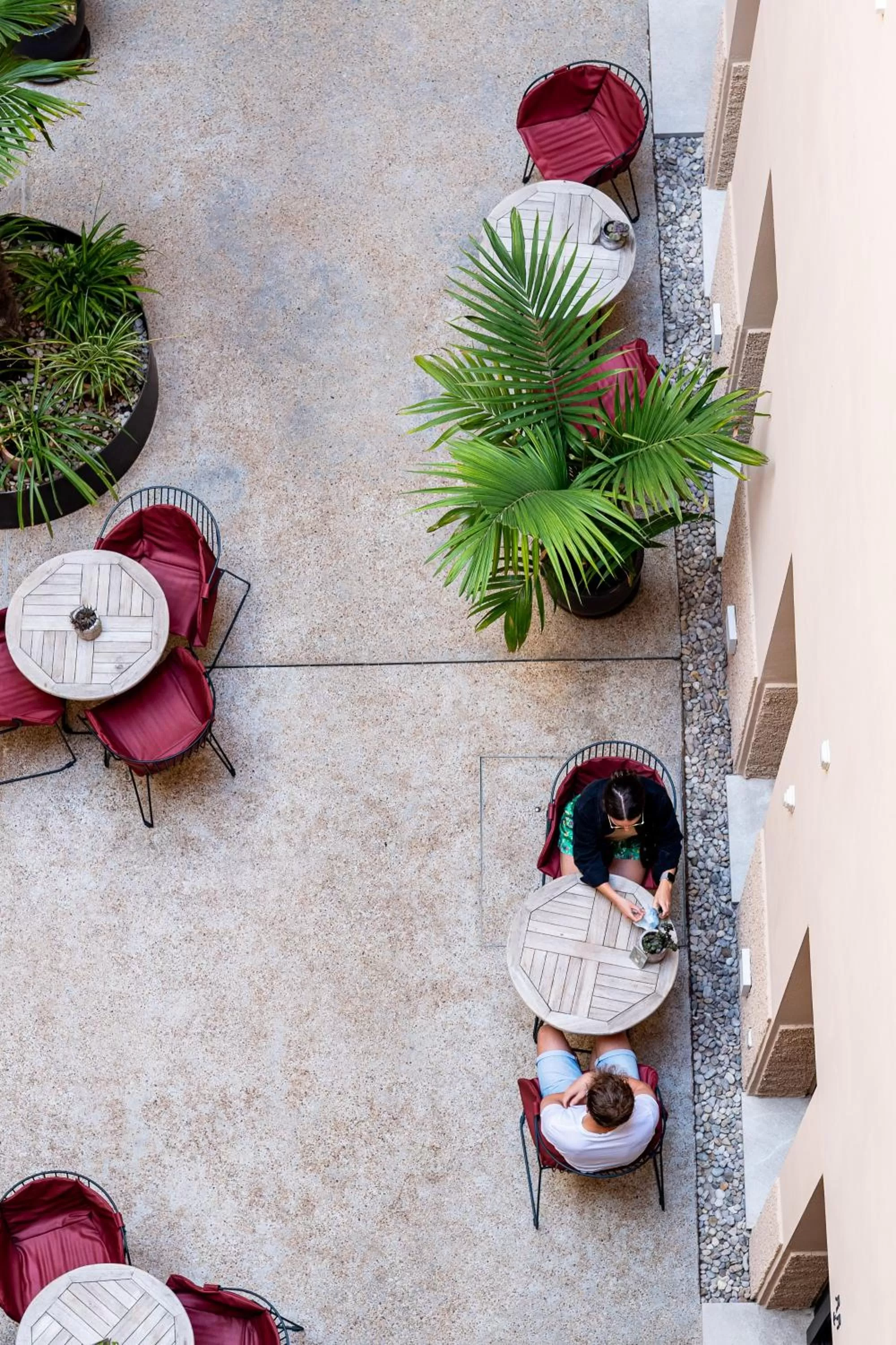 Restaurant/places to eat in Nou Baleares