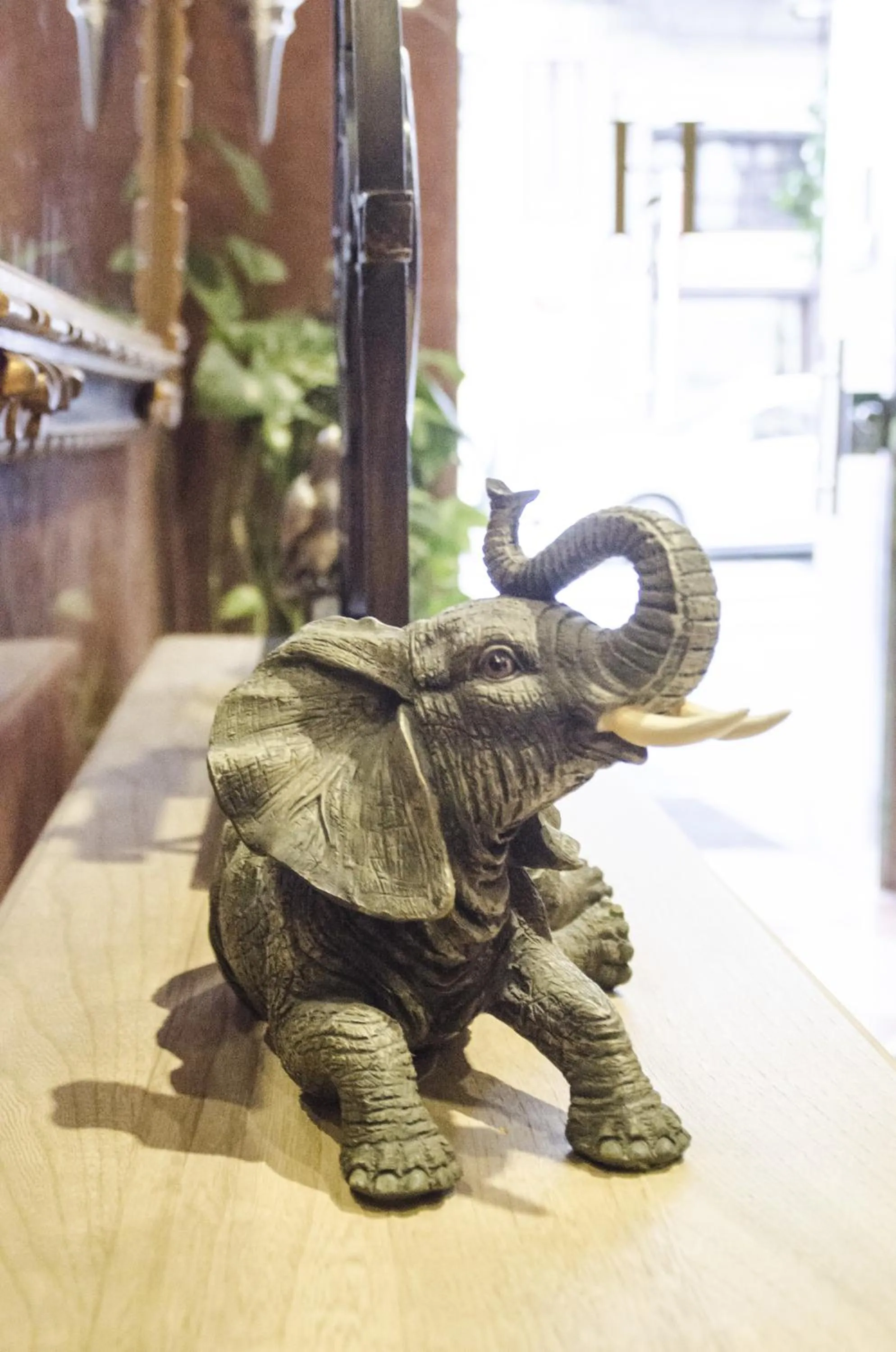 Other in Hotel Duquesa