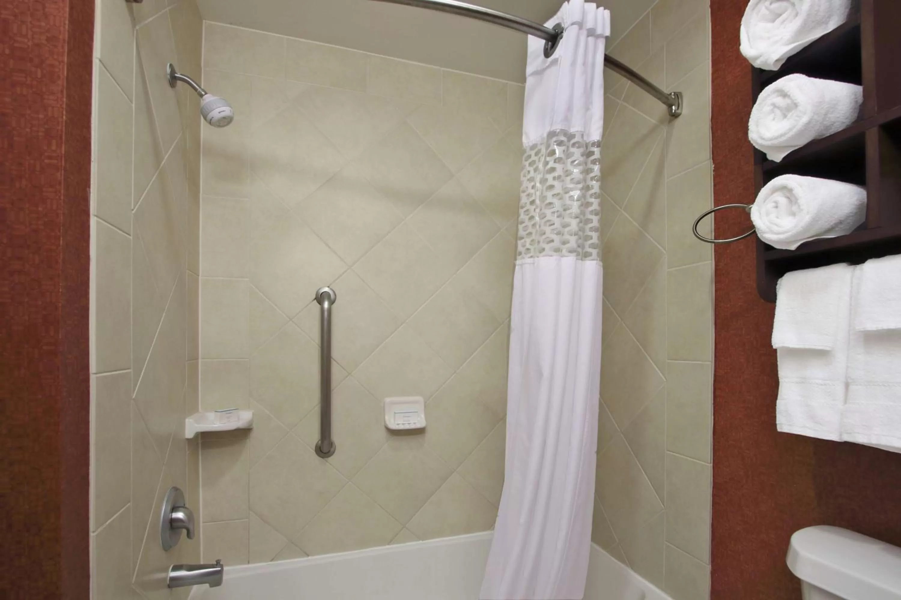 Bathroom in Hampton Inn & Suites Conroe I 45 North
