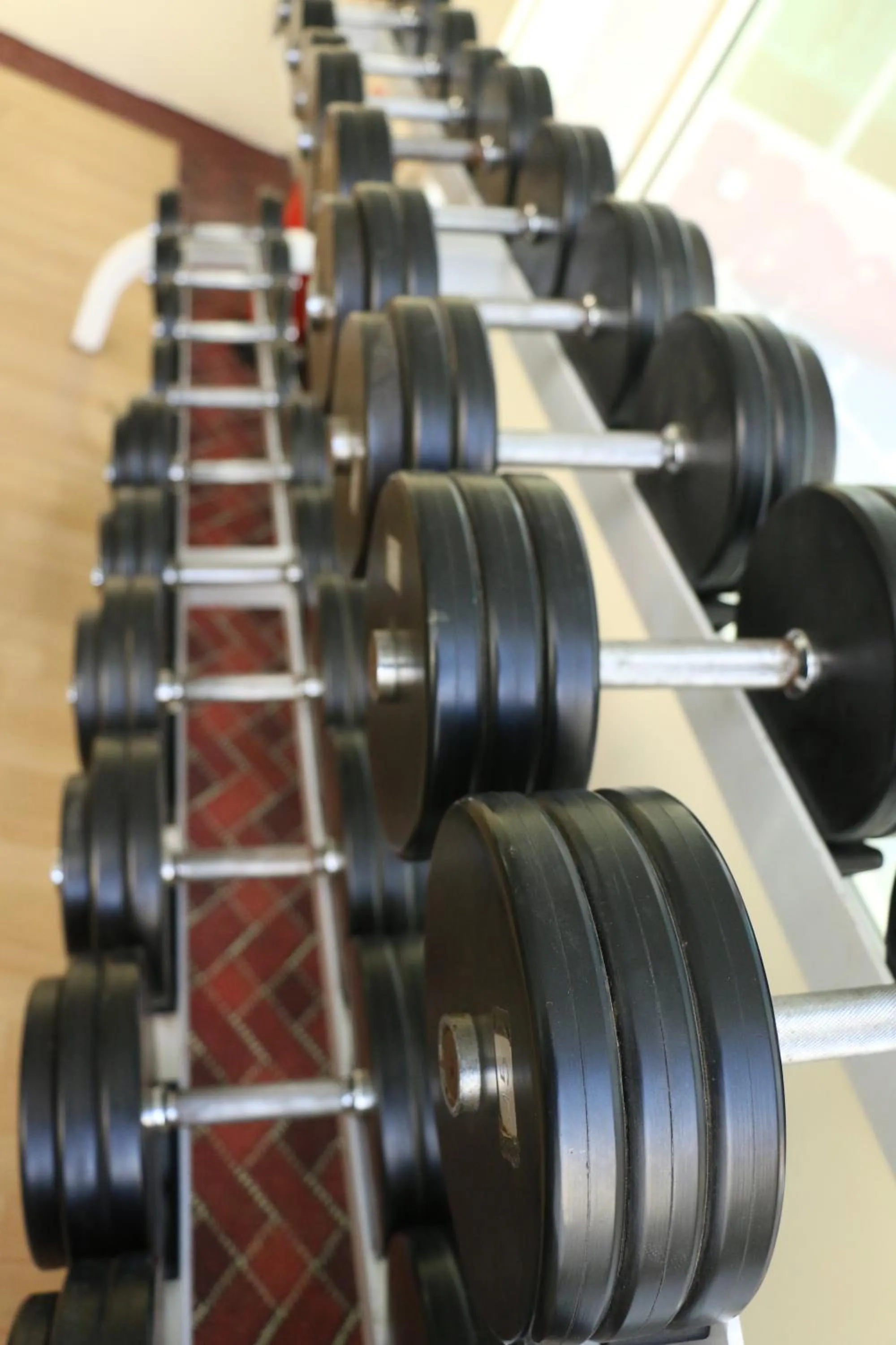 Fitness centre/facilities in Pars International Hotel