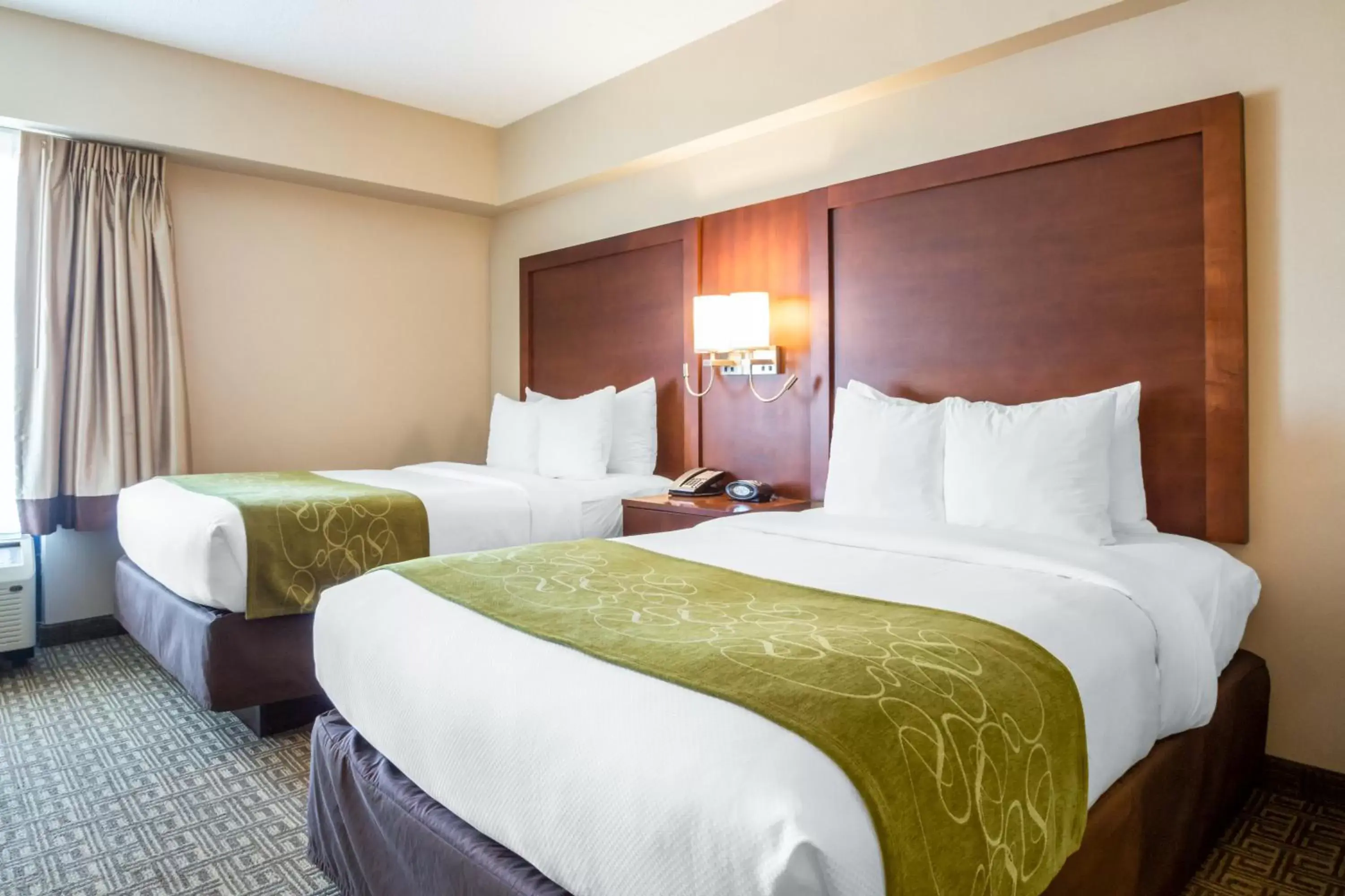 Double Suite - Non-Smoking in Comfort Suites at Woodbridge Double Suite - Non-Smoking in Comfort Suites at Woodbridge