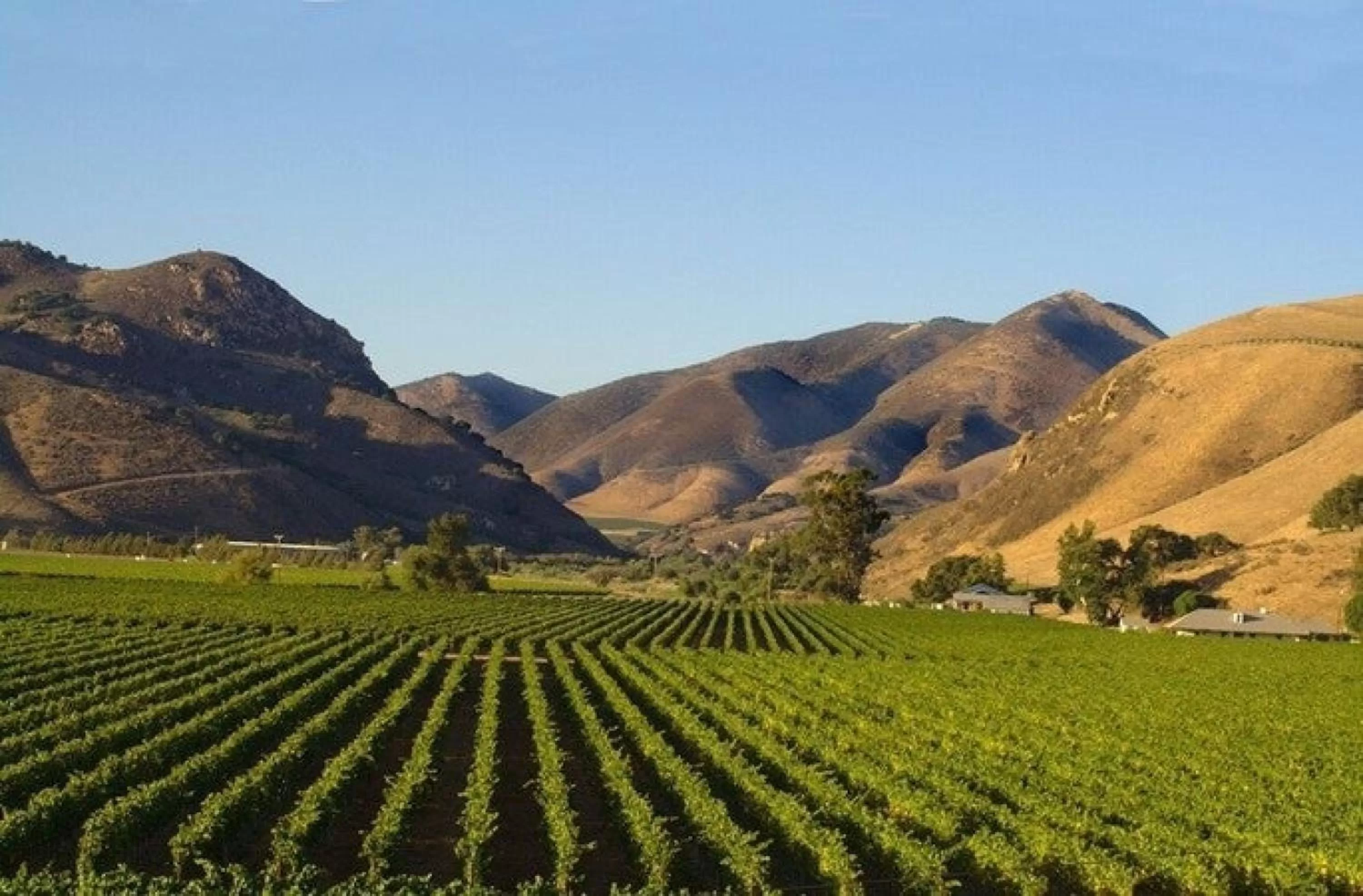 Nearby landmark in Candlewood Suites Santa Maria by IHG