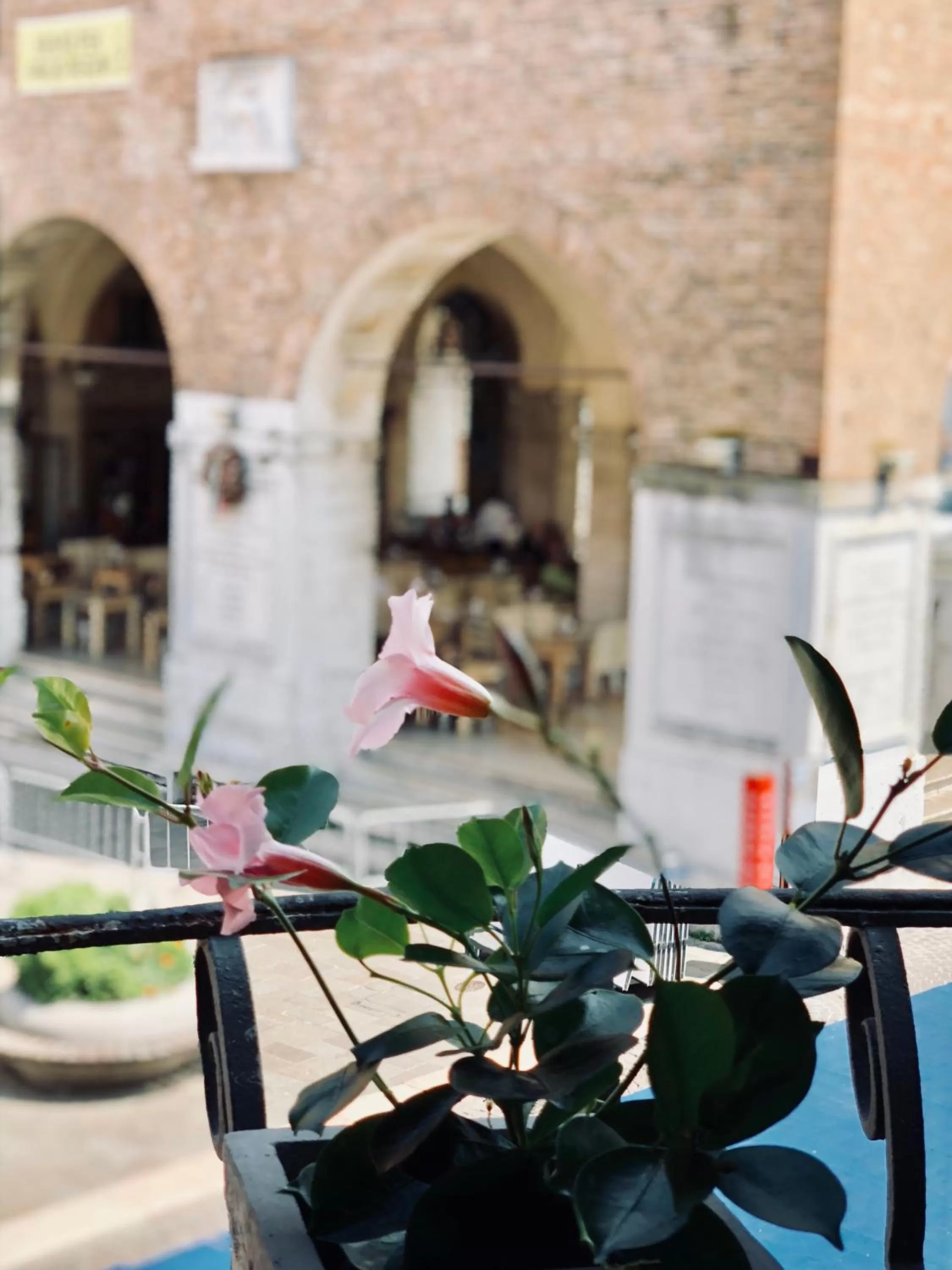 View (from property/room) in Palazzina300