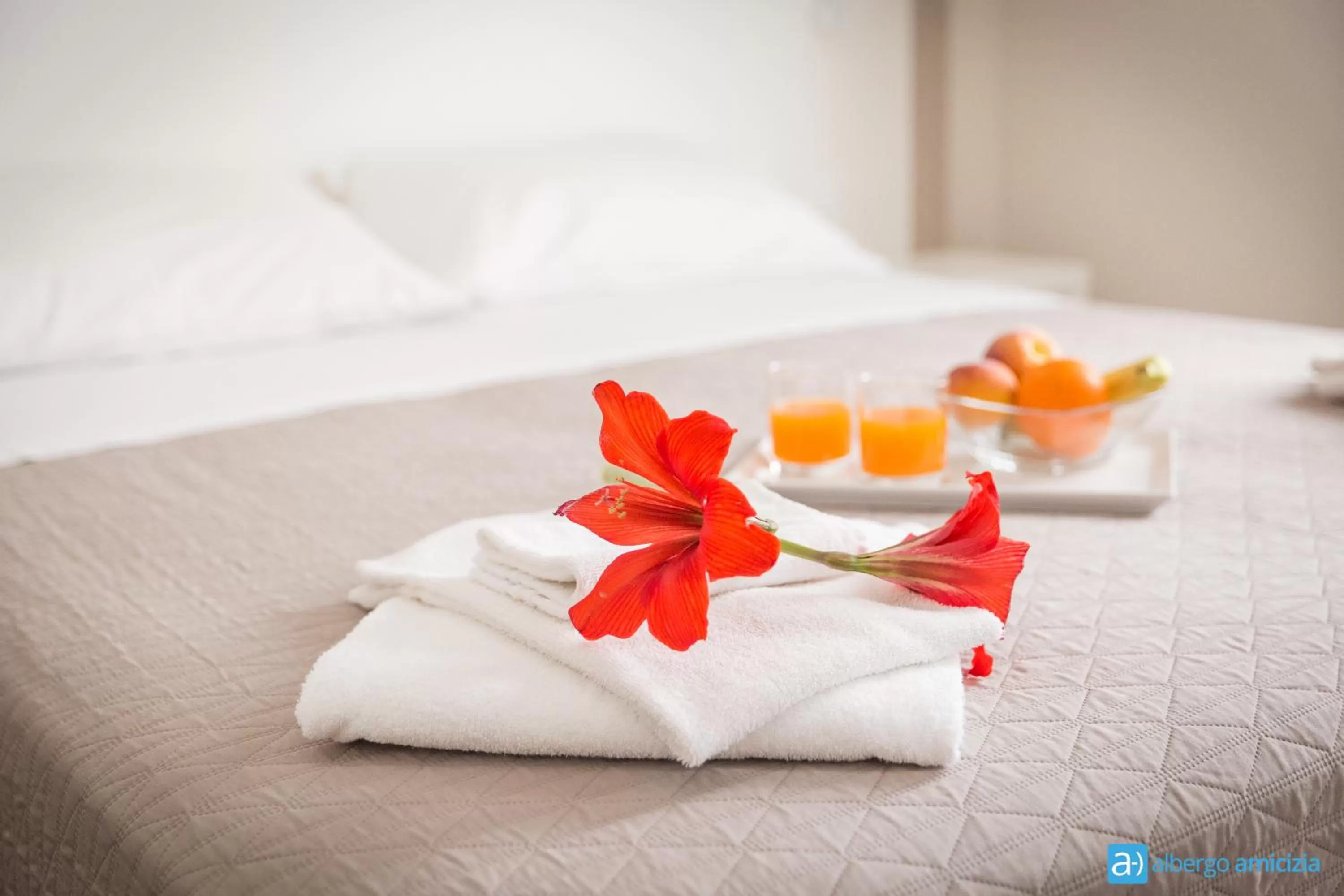 Decorative detail, Bed in Hotel Amicizia