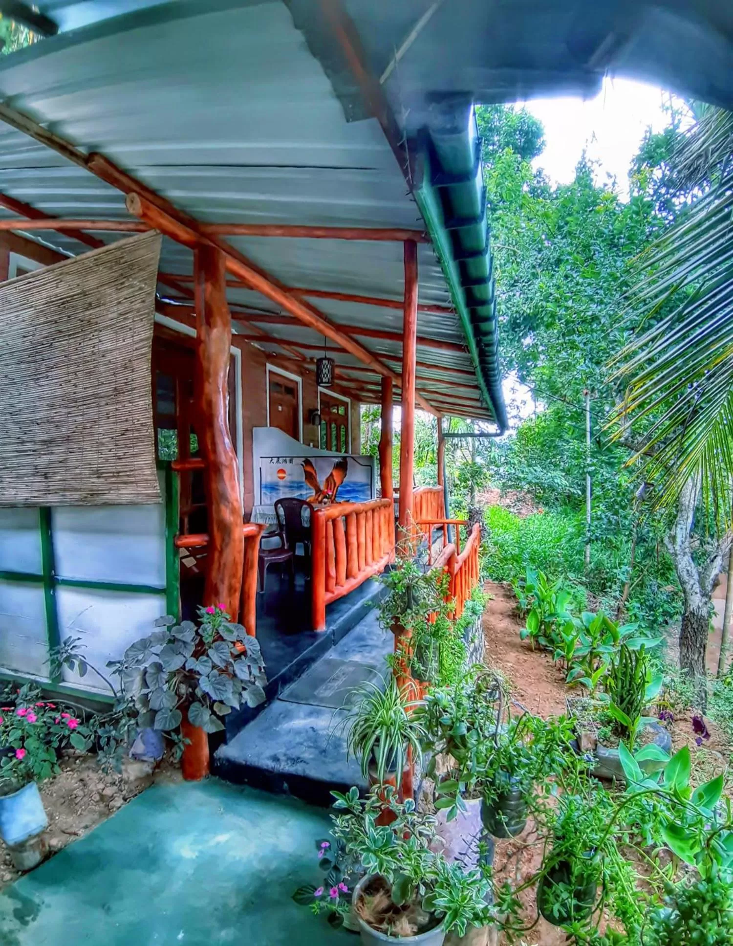 Garden view in Cozy Homestay Waterfall Road Ella