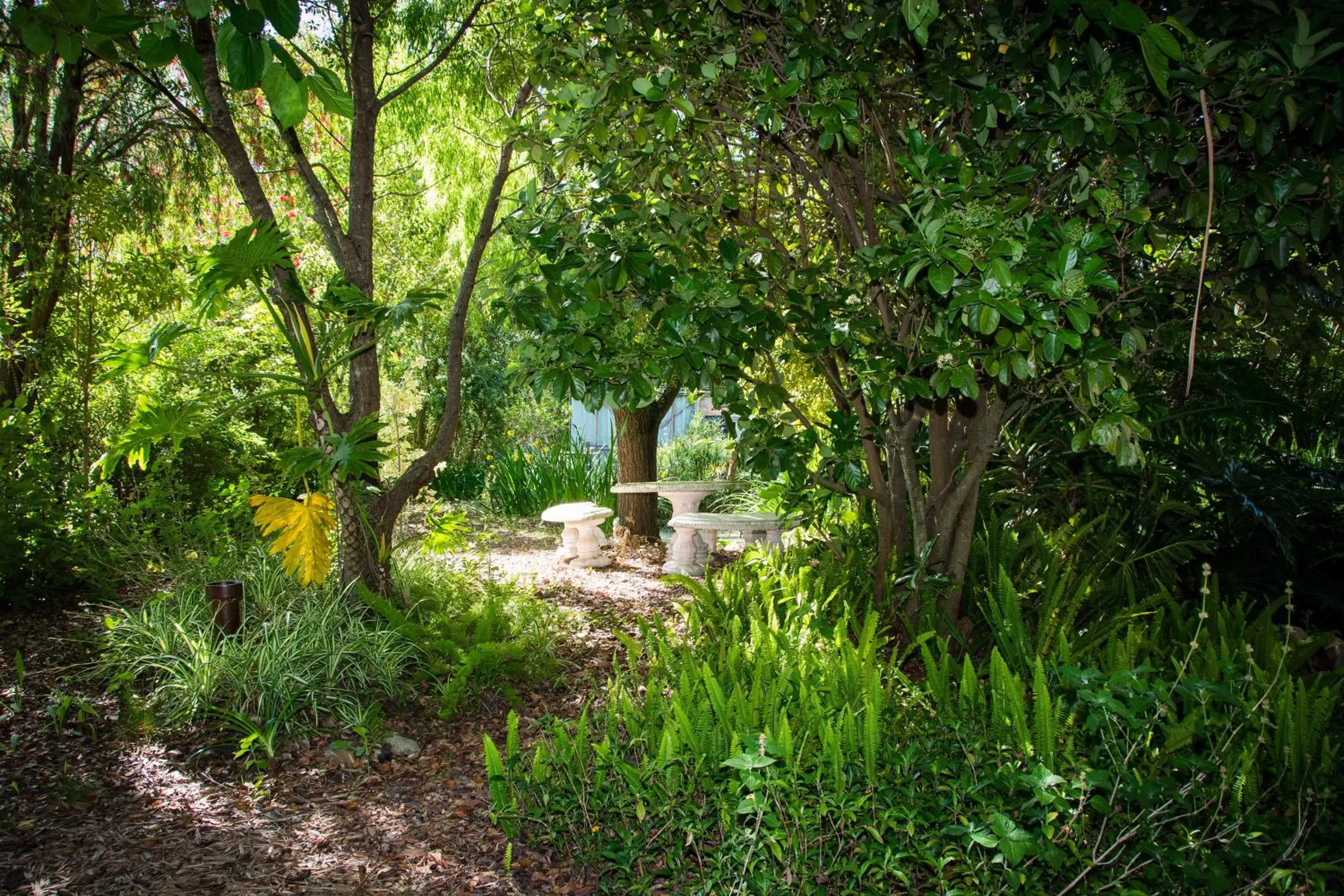 Property building, Garden in Aquaelberg Place