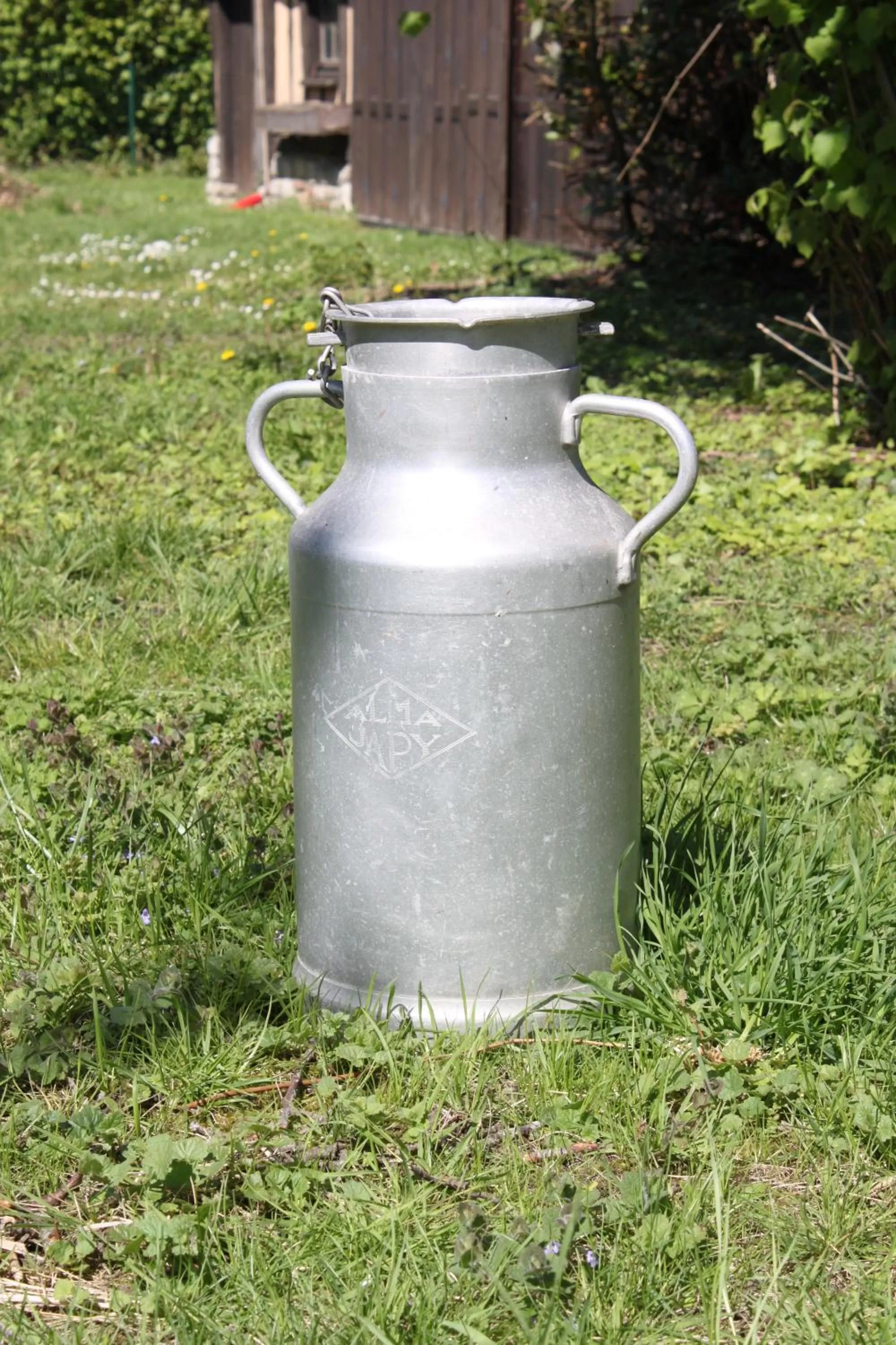 Garden in La Romance et la Romanesque