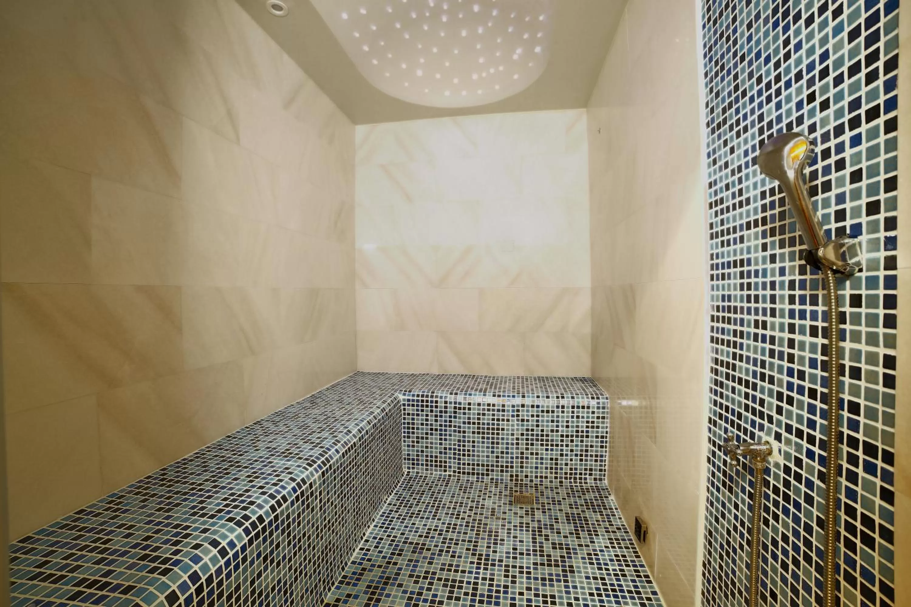 Steam room, Bed in Four Sides Taksim Lion Hotel&Spa