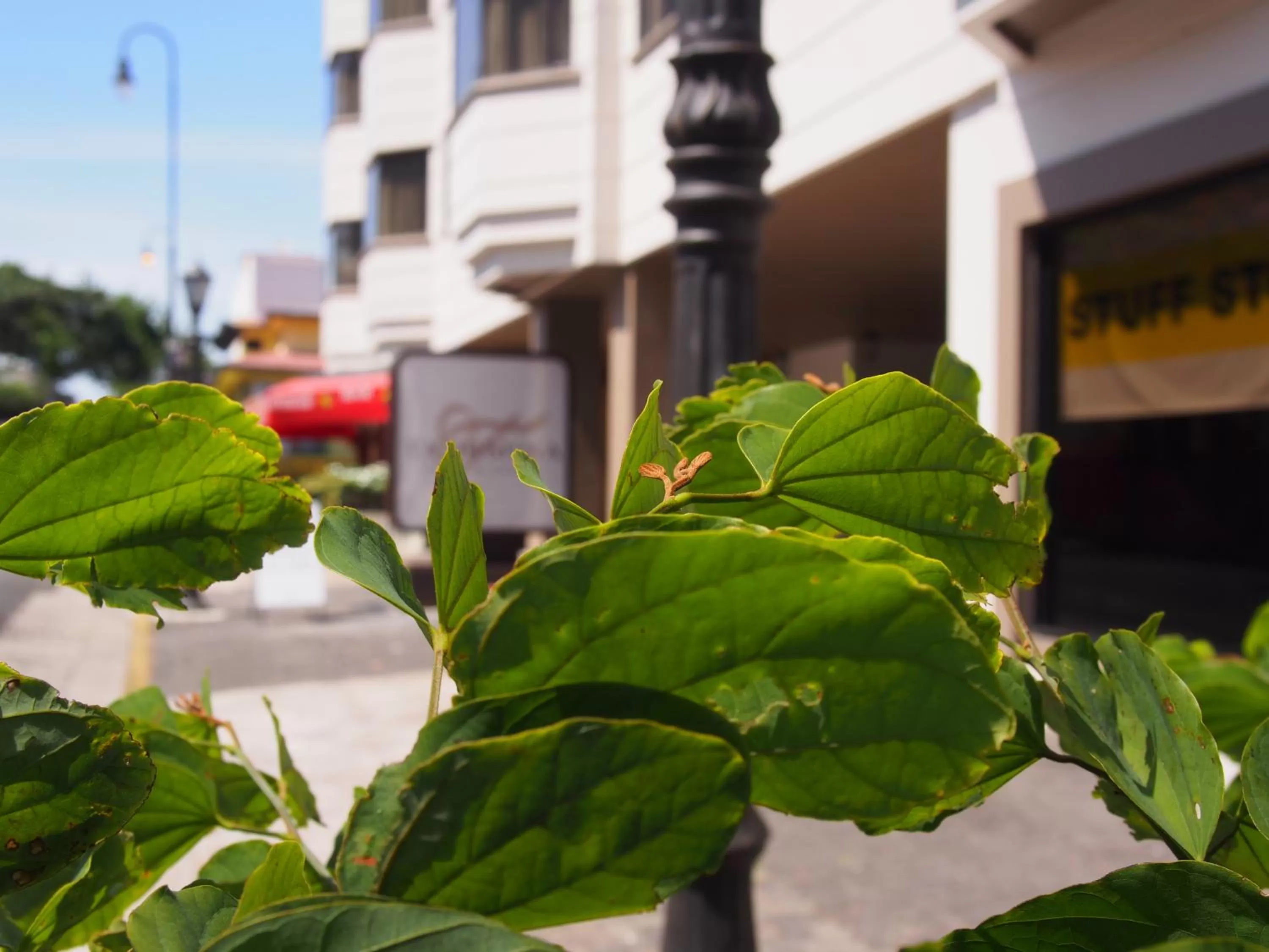 Garden in Taormina Hotel and Casino-Adults Only