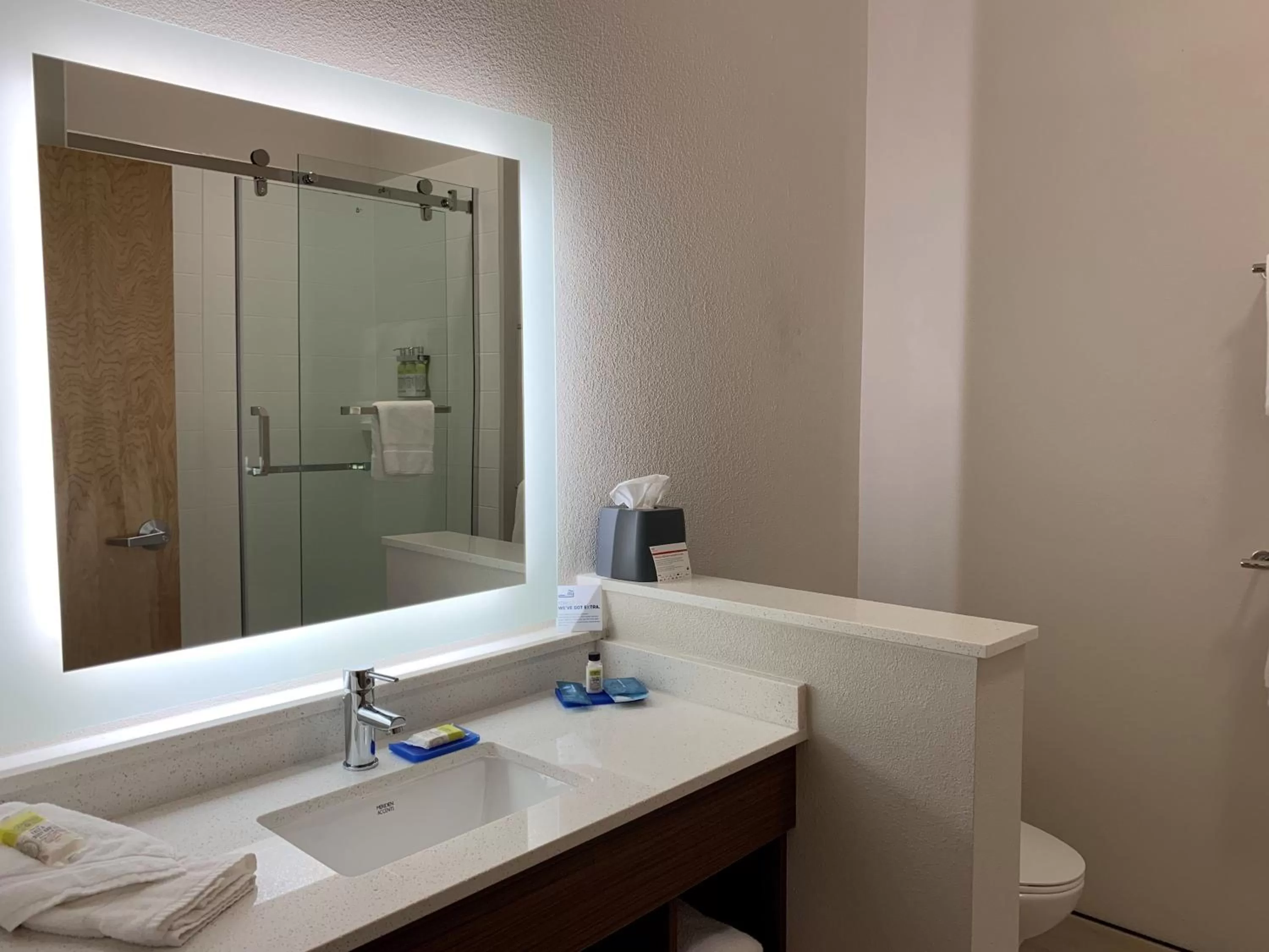 Bathroom in Holiday Inn Express & Suites Danville by IHG