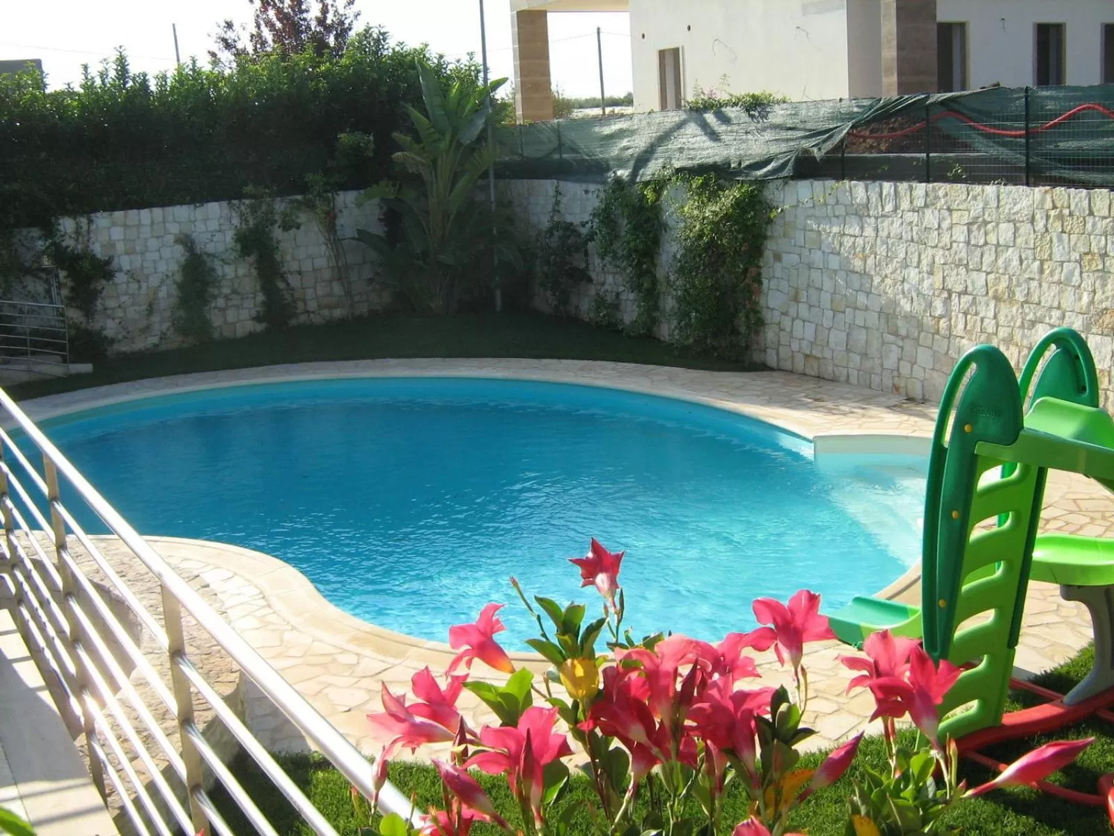 Summer, Swimming Pool in Le Mediterranee