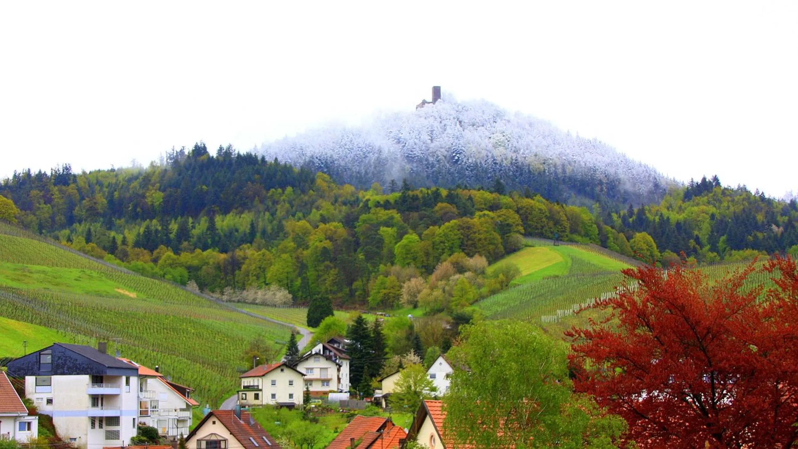 Mountain view in Hotel Rebstock