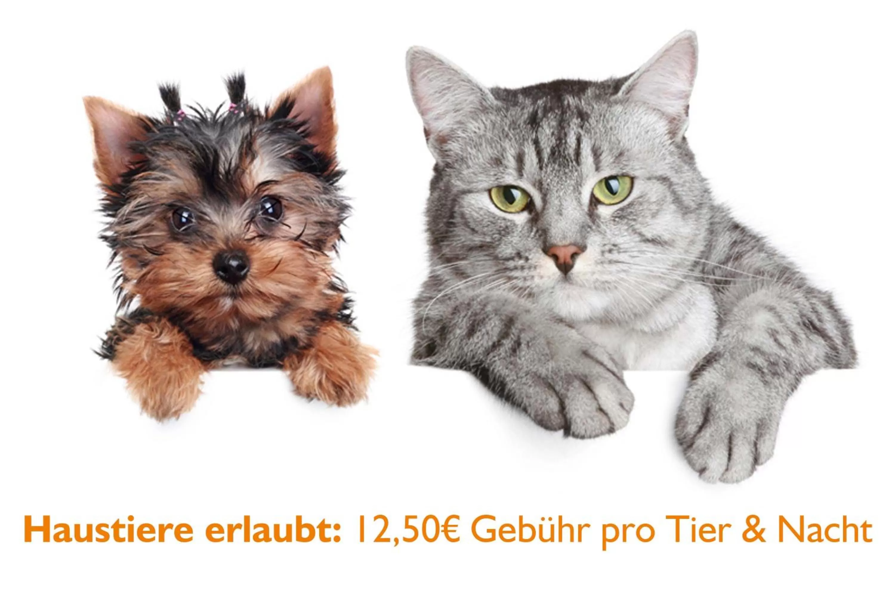 Pets in Erzgebirgshotel Freiberger Höhe