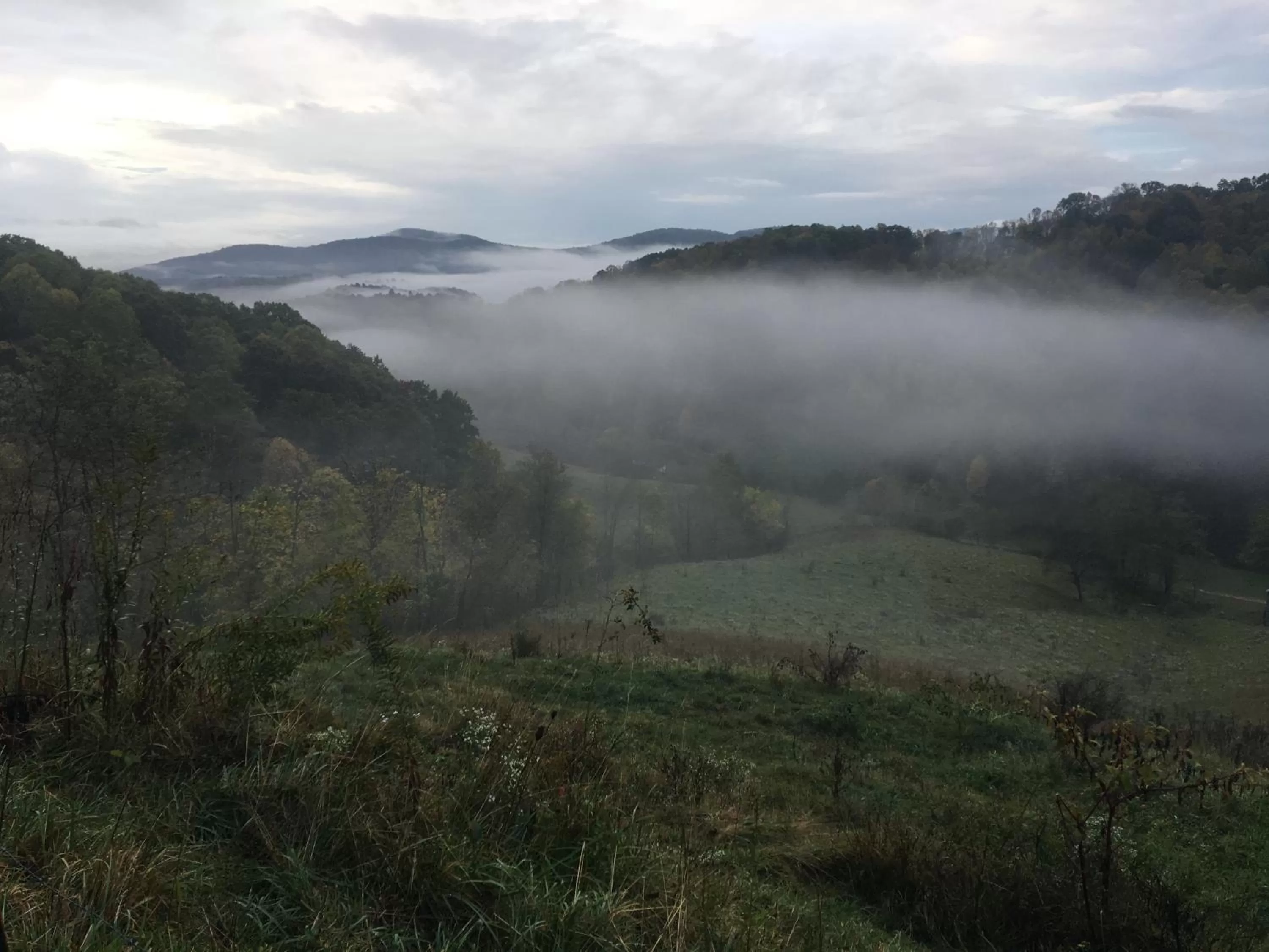 Natural Landscape in River House Inn