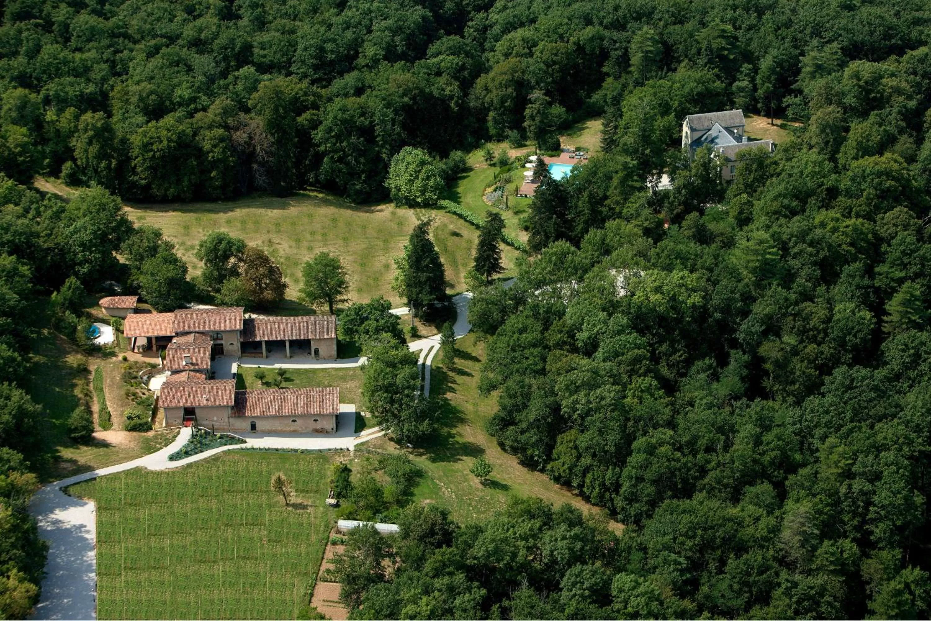 Bird's eye view in Domaine Le Castelet