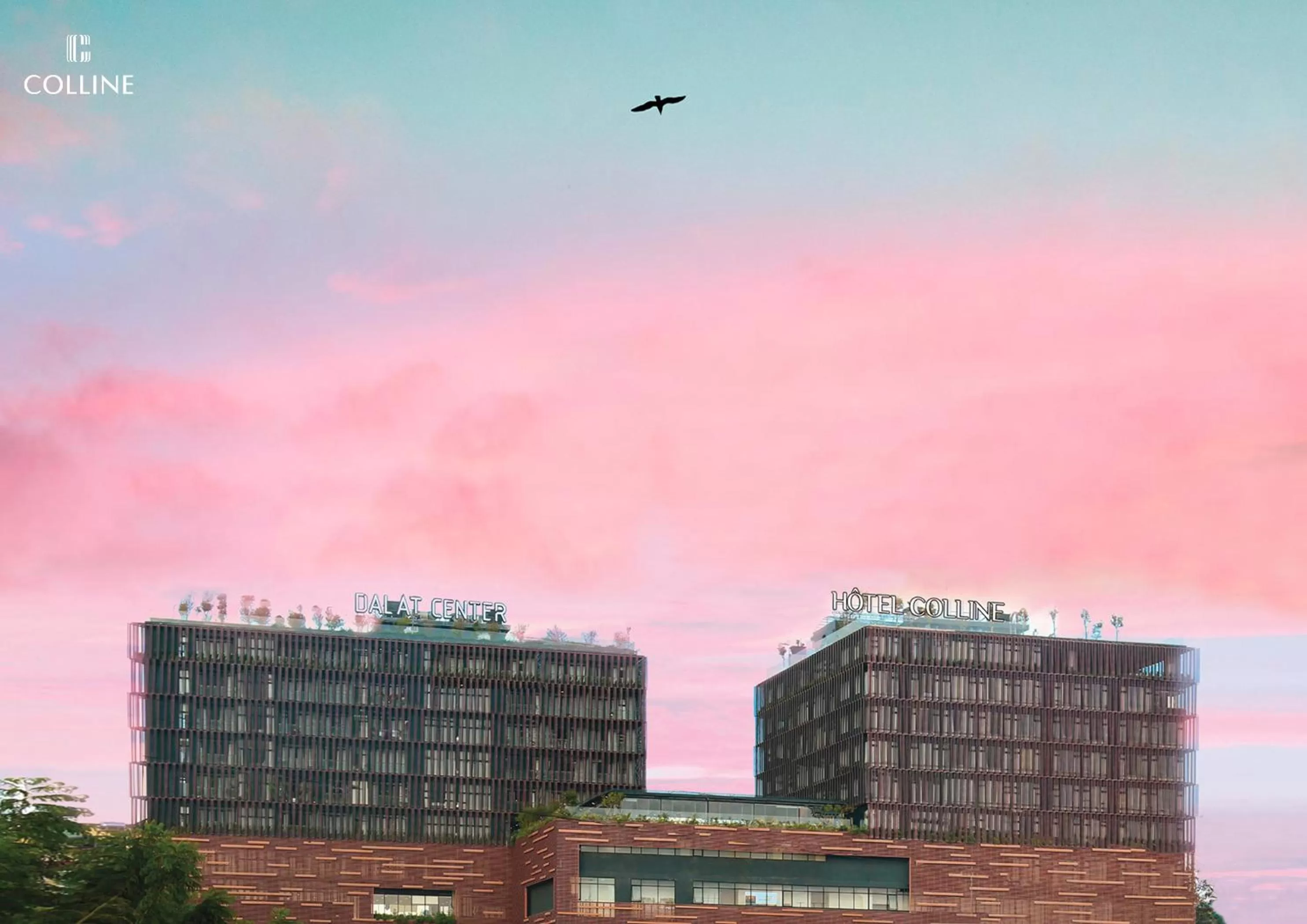 Property building in Colline Dalat