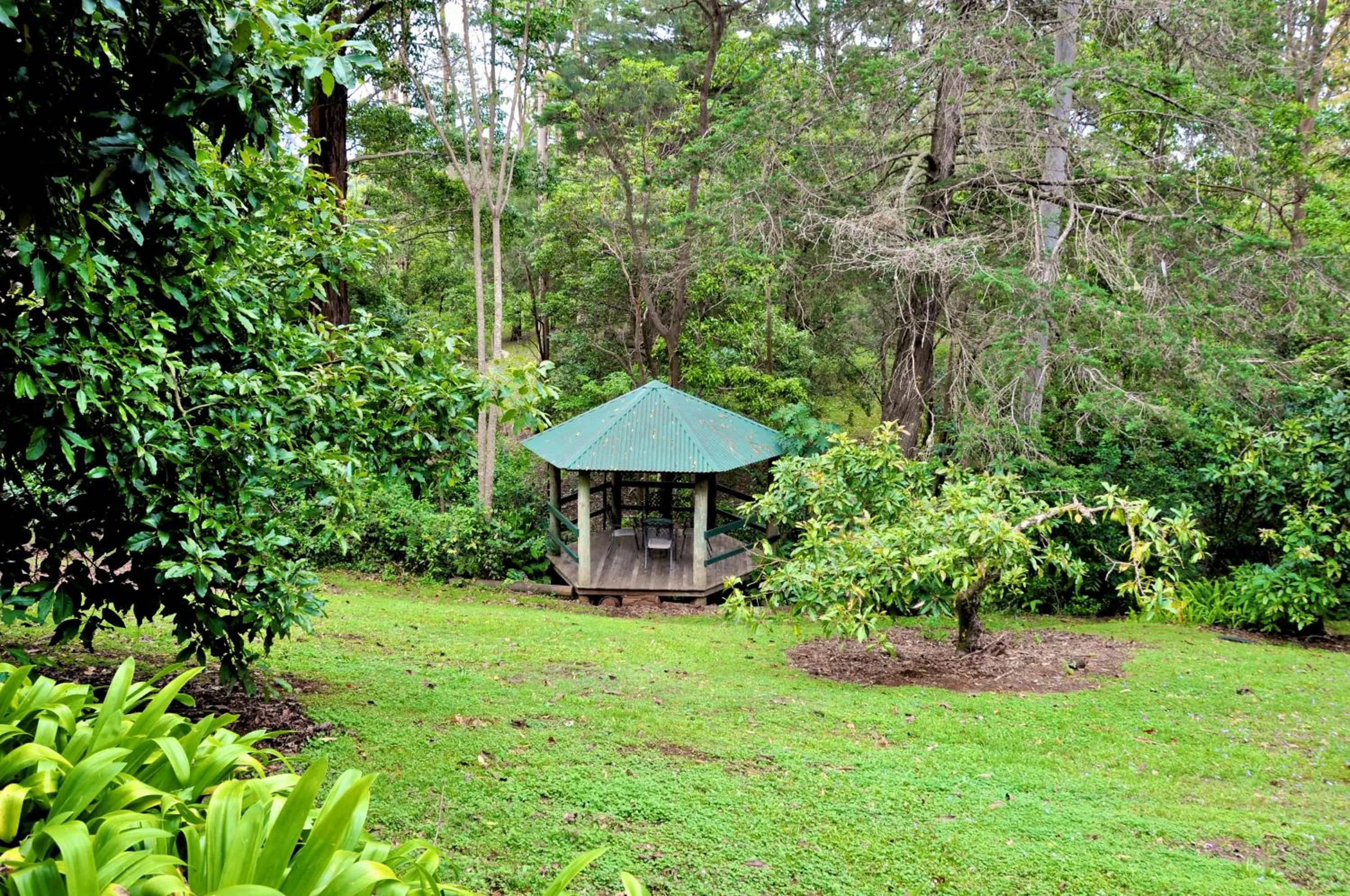 Garden in Escarpment Retreat & Day Spa for Couples