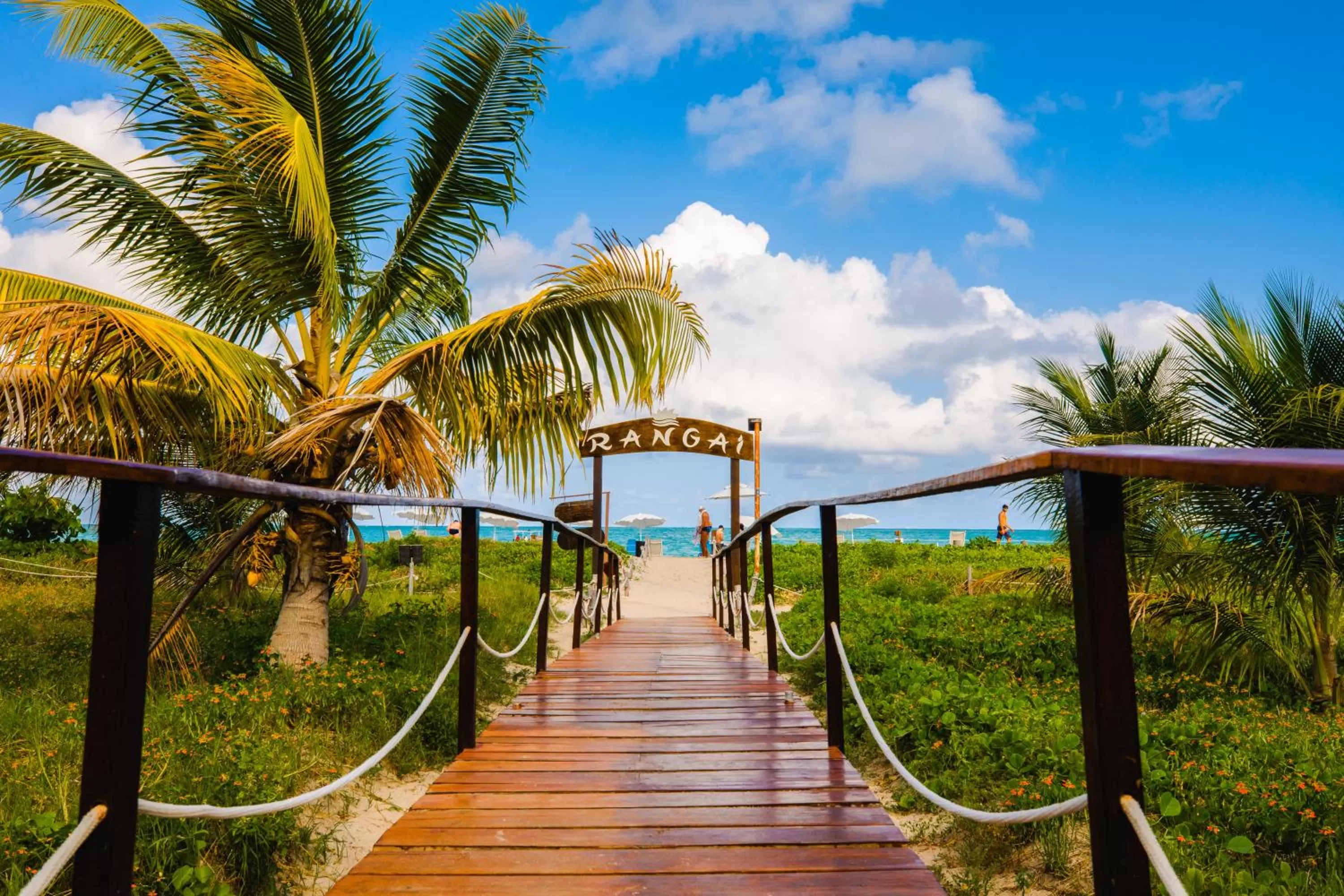 Natural landscape in Pousada Rangai