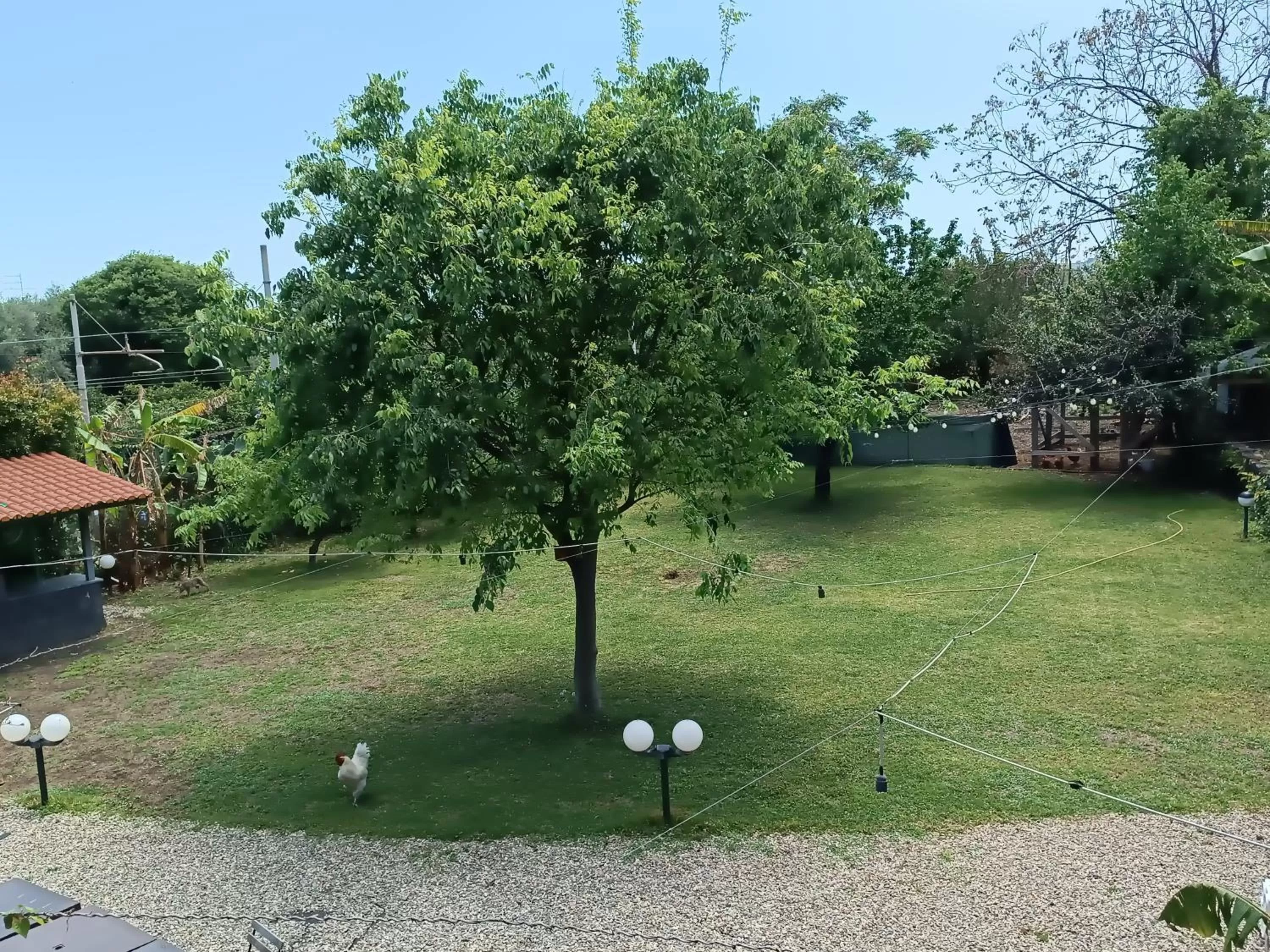 Garden in B&B Villa Lidia