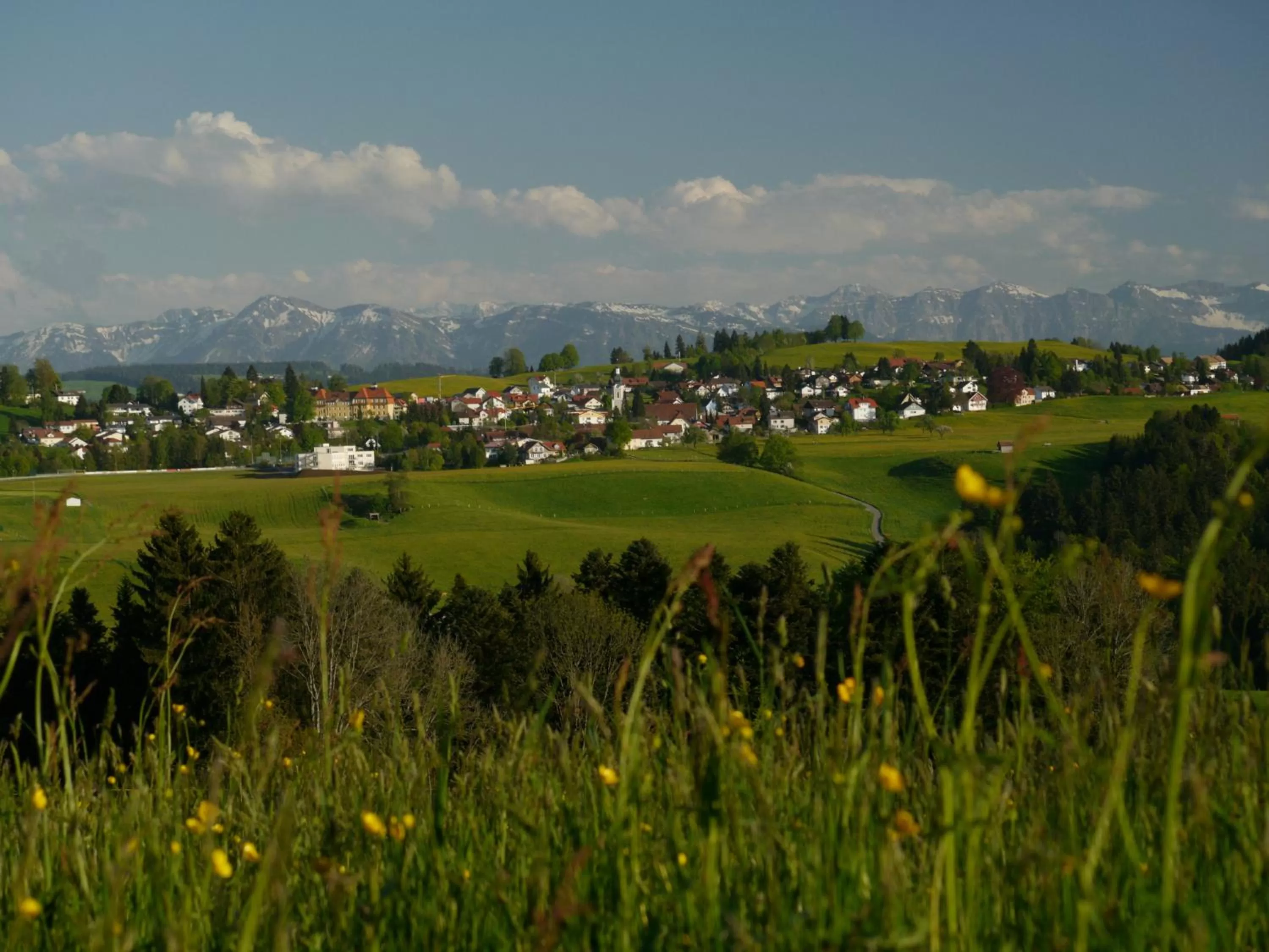 Natural landscape in Hotel Alpenrose gut schlafen & frühstücken