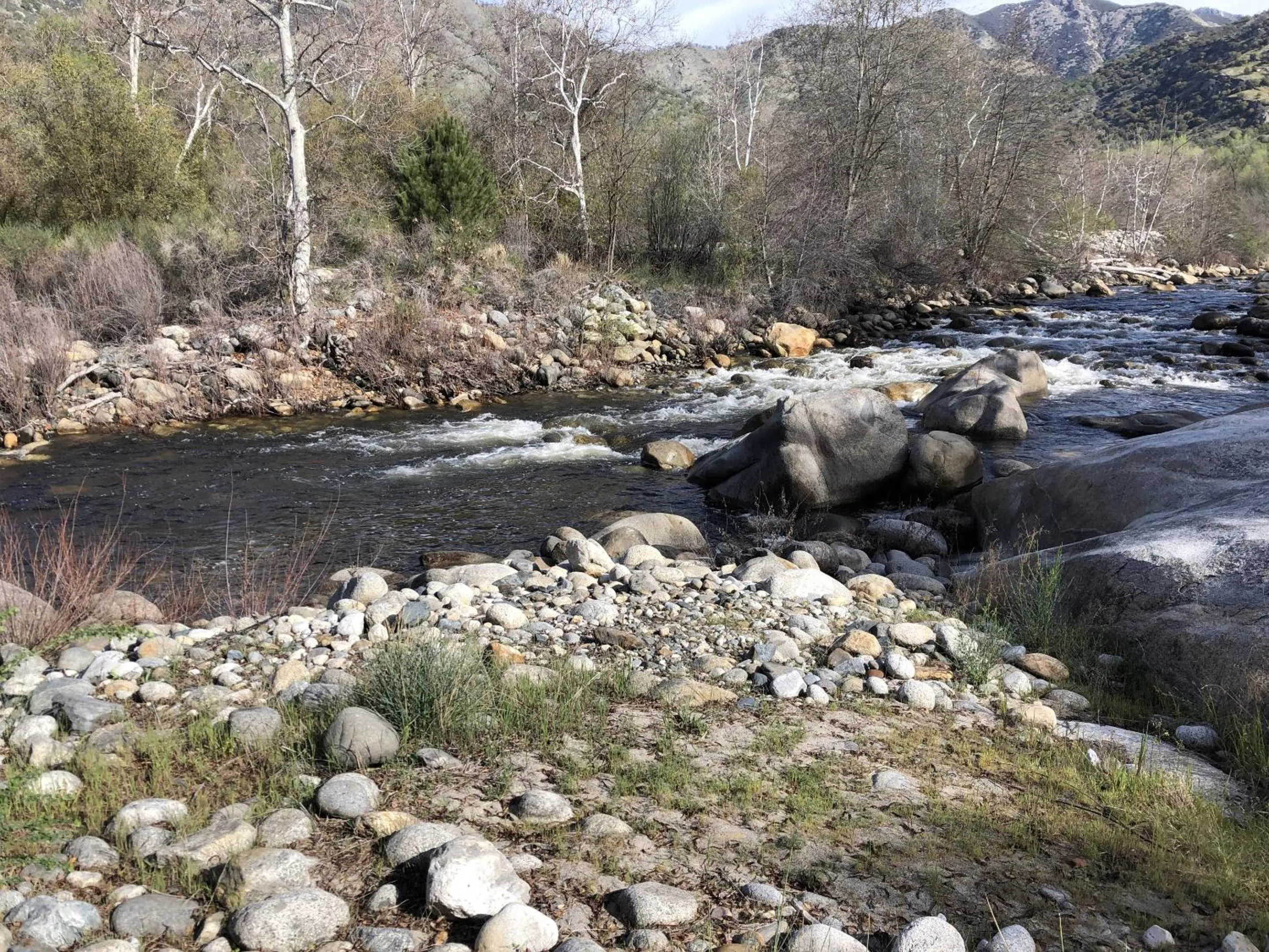 Natural landscape in Sierra Lodge Three Rivers