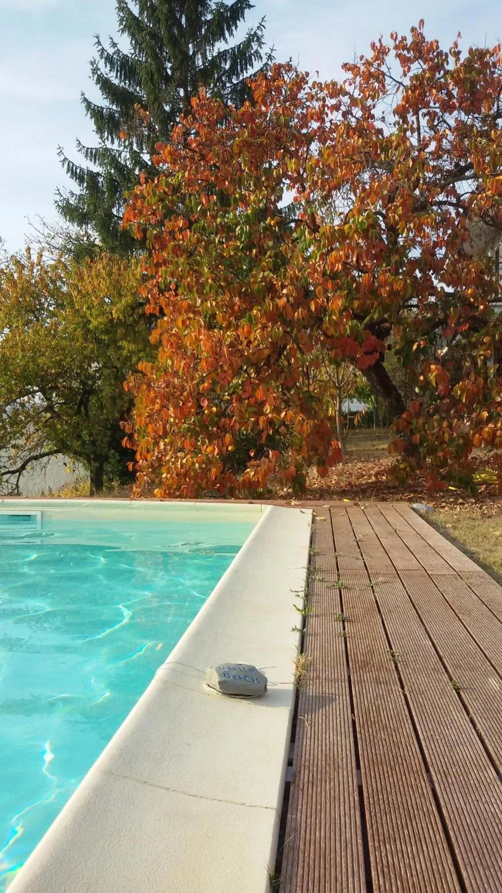 Swimming pool in Cascina Torello