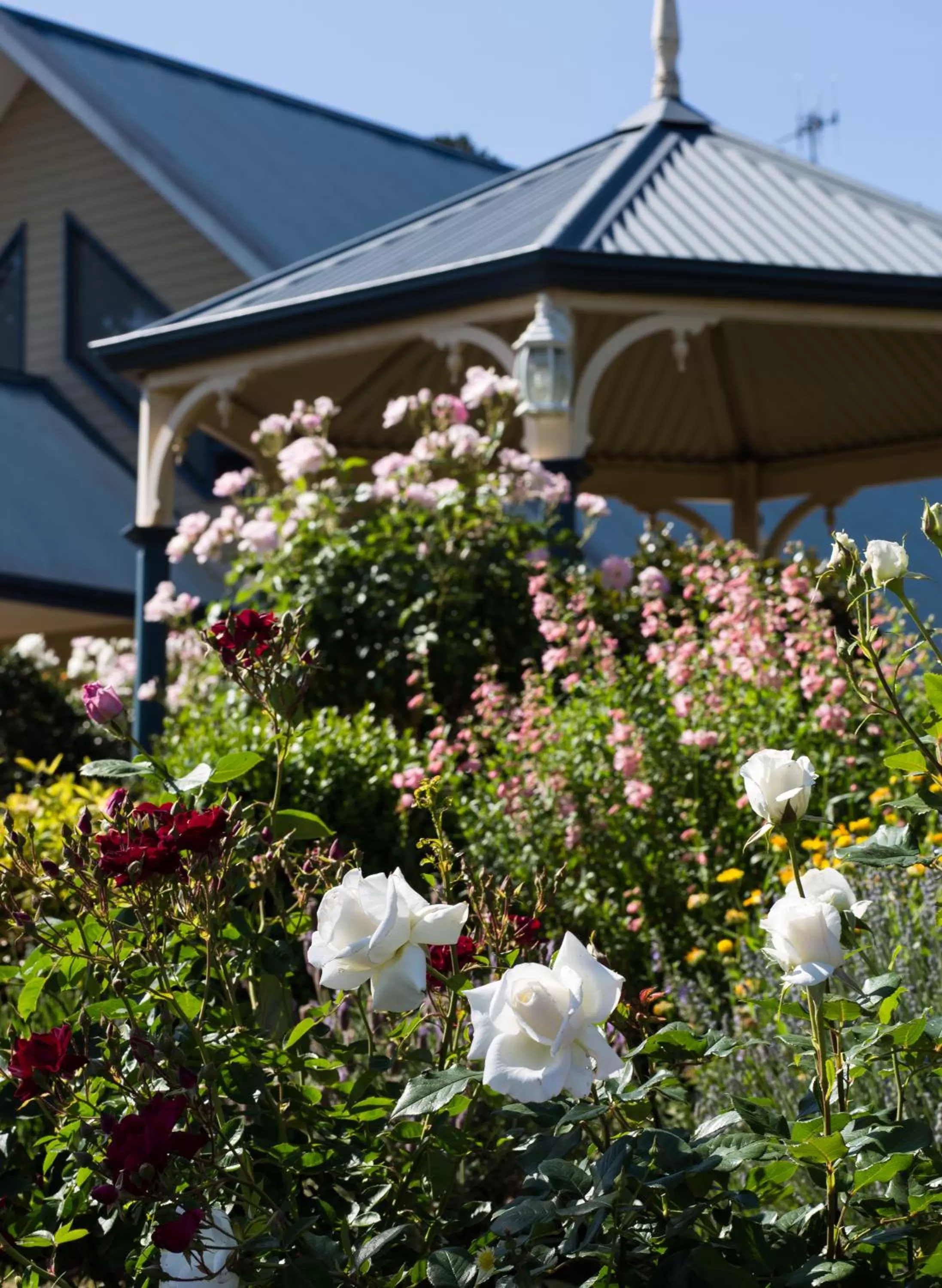 Garden in Willows Motel