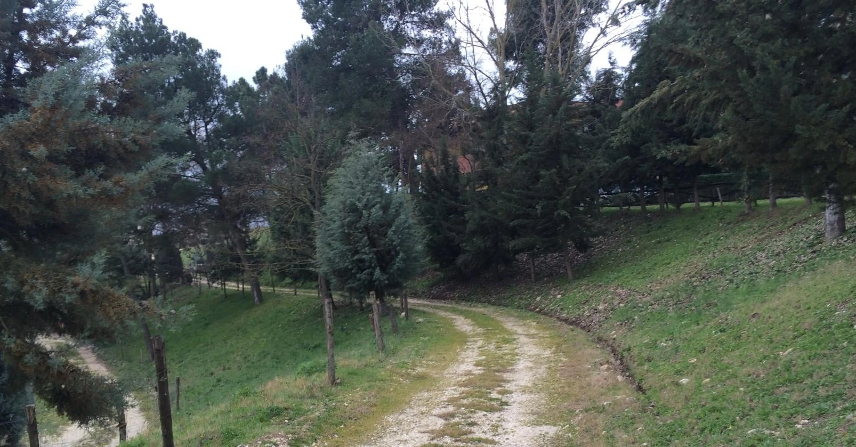 Natural landscape in Hotel D.G. Garden