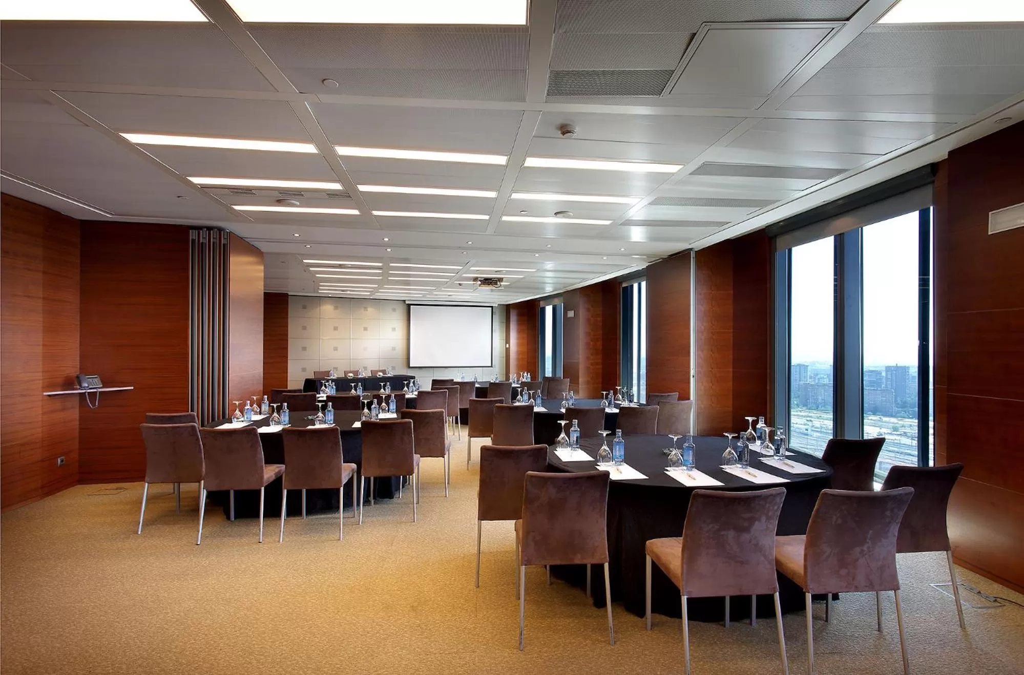 Business facilities in Eurostars Madrid Tower