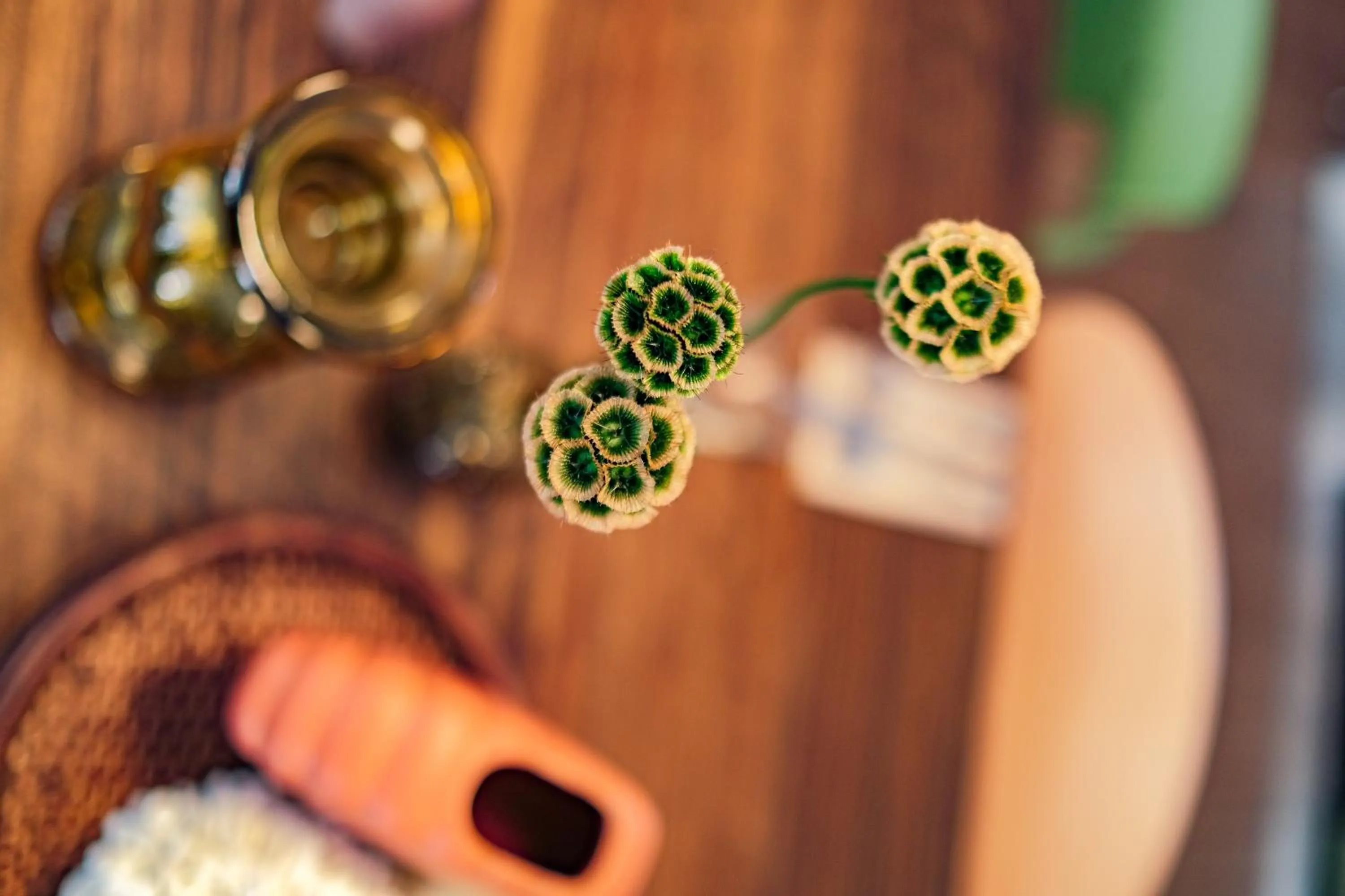 Decorative detail in ibis Styles Bordeaux Lac Bruges