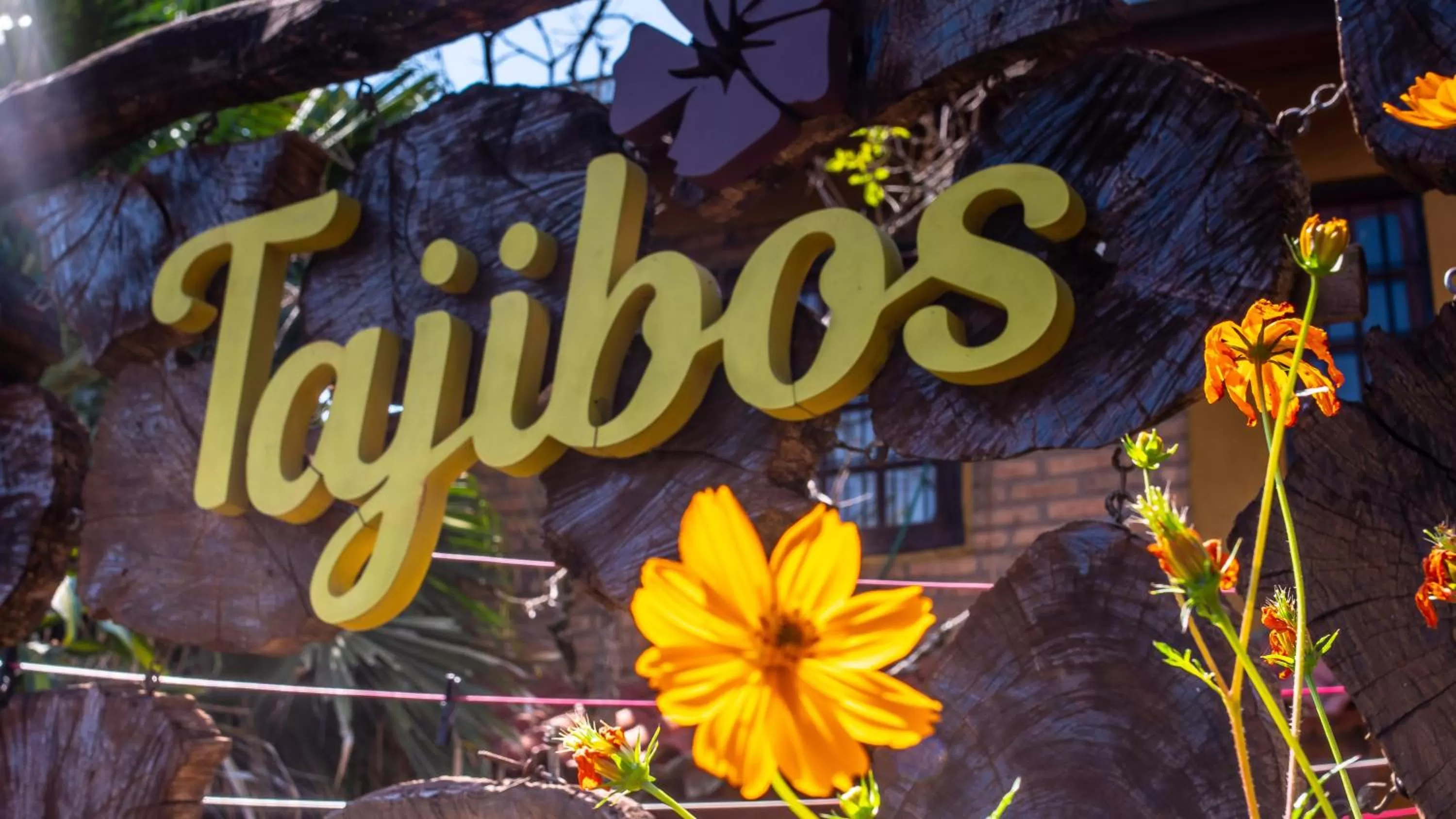 Property building in Posada Los Tajibos