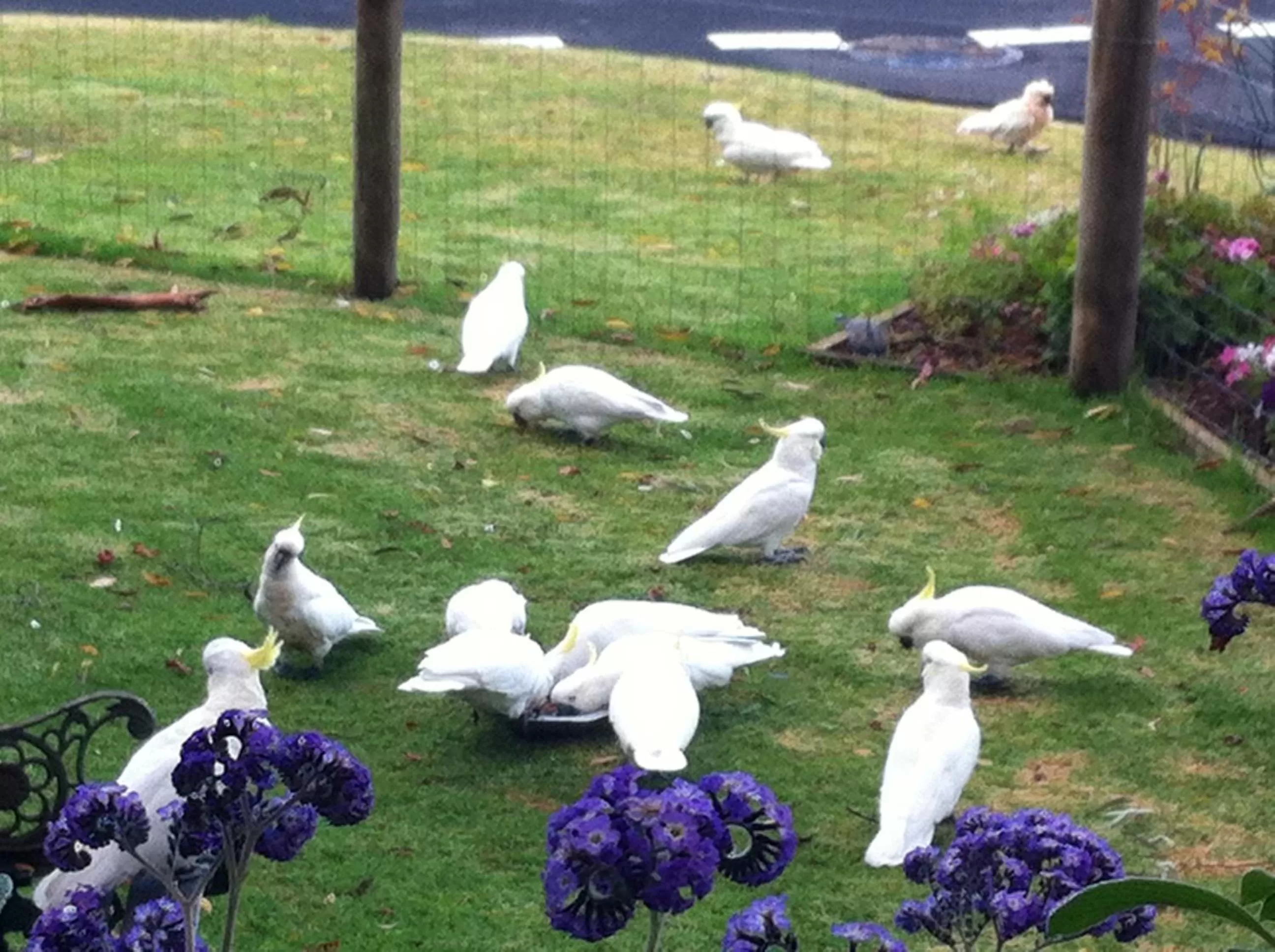 Animals, Other Animals in Sea Salt Bnb