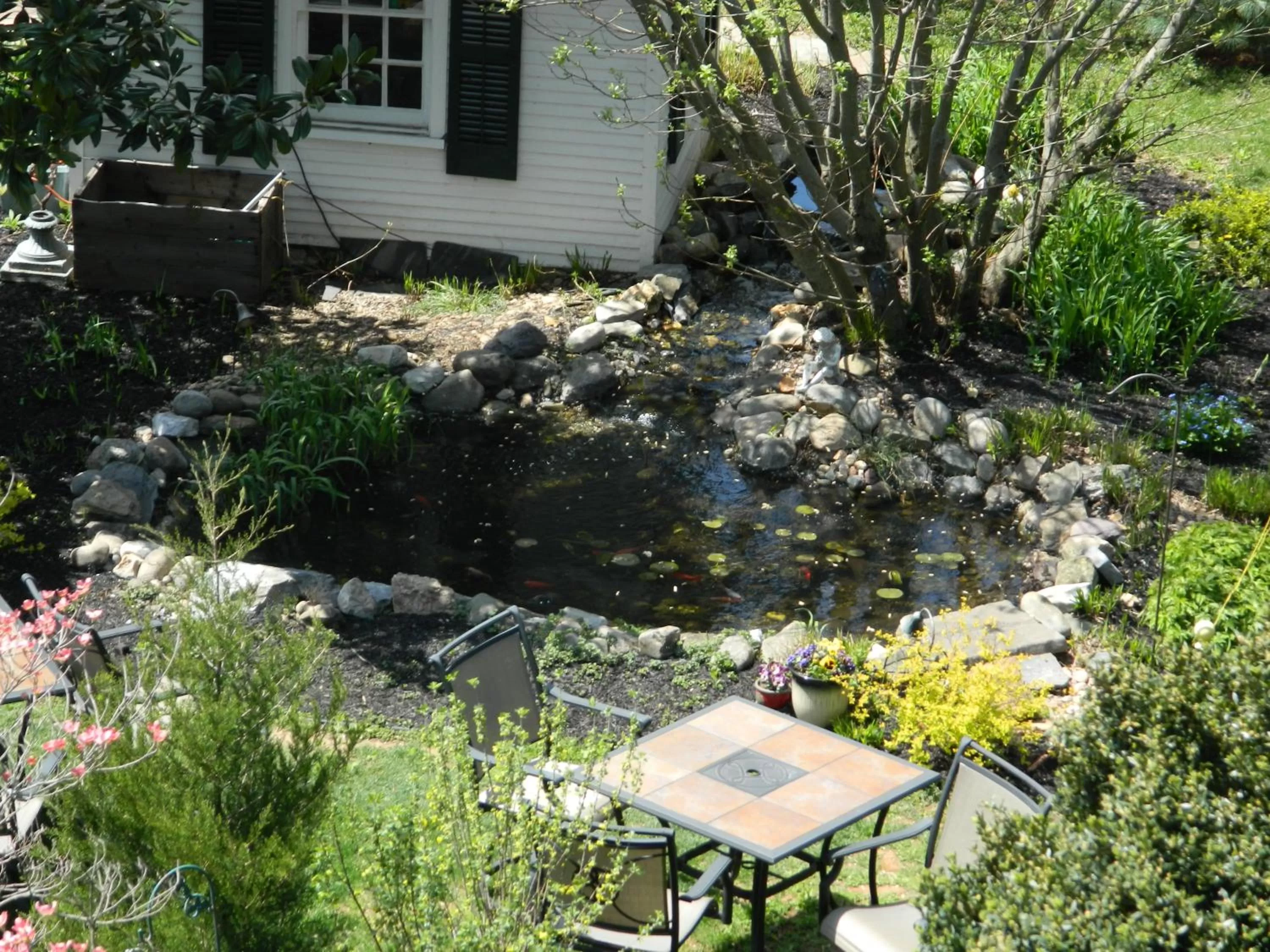 Garden in EJ Bowman House Bed & Breakfast