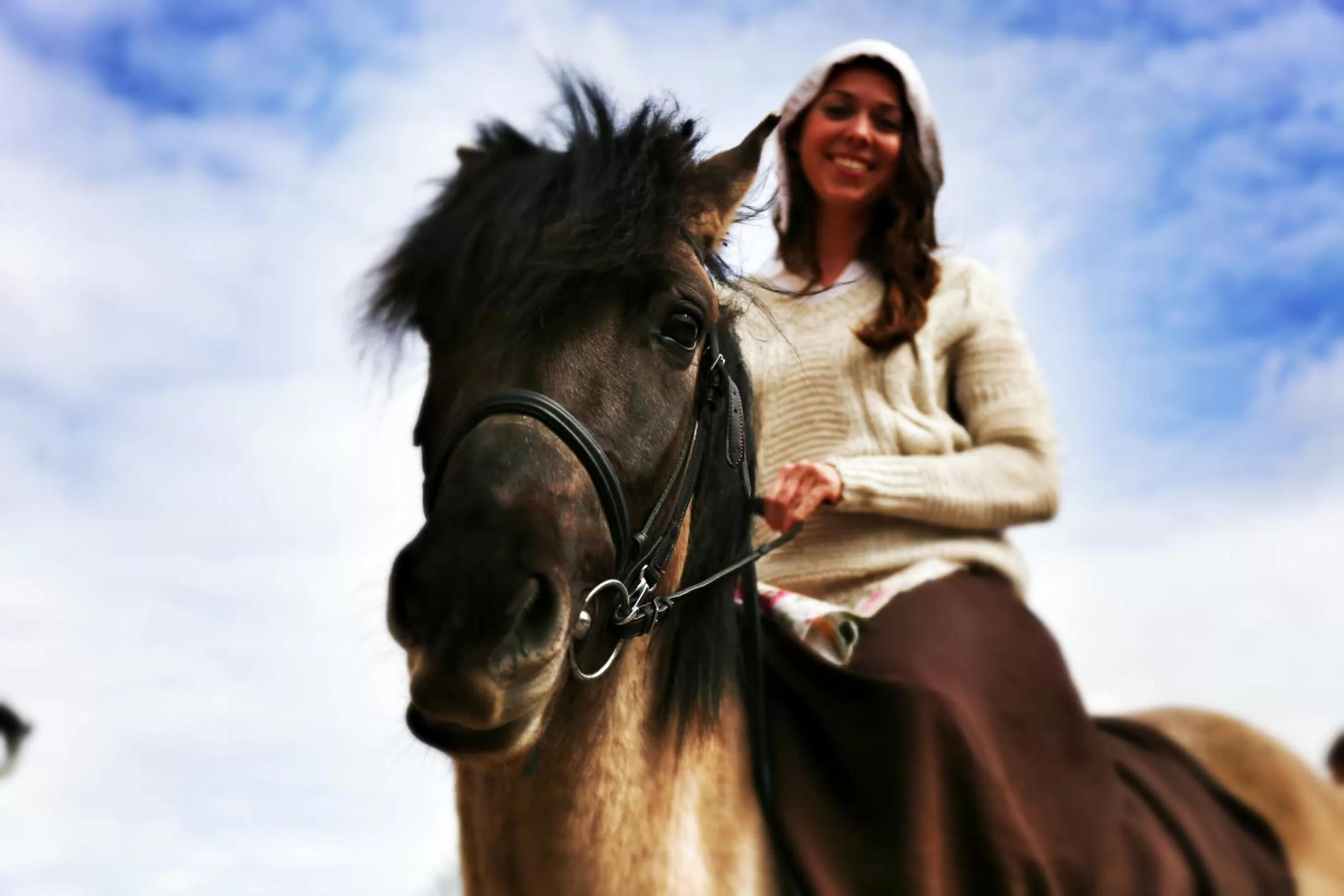 People, Horseback Riding in Olandia