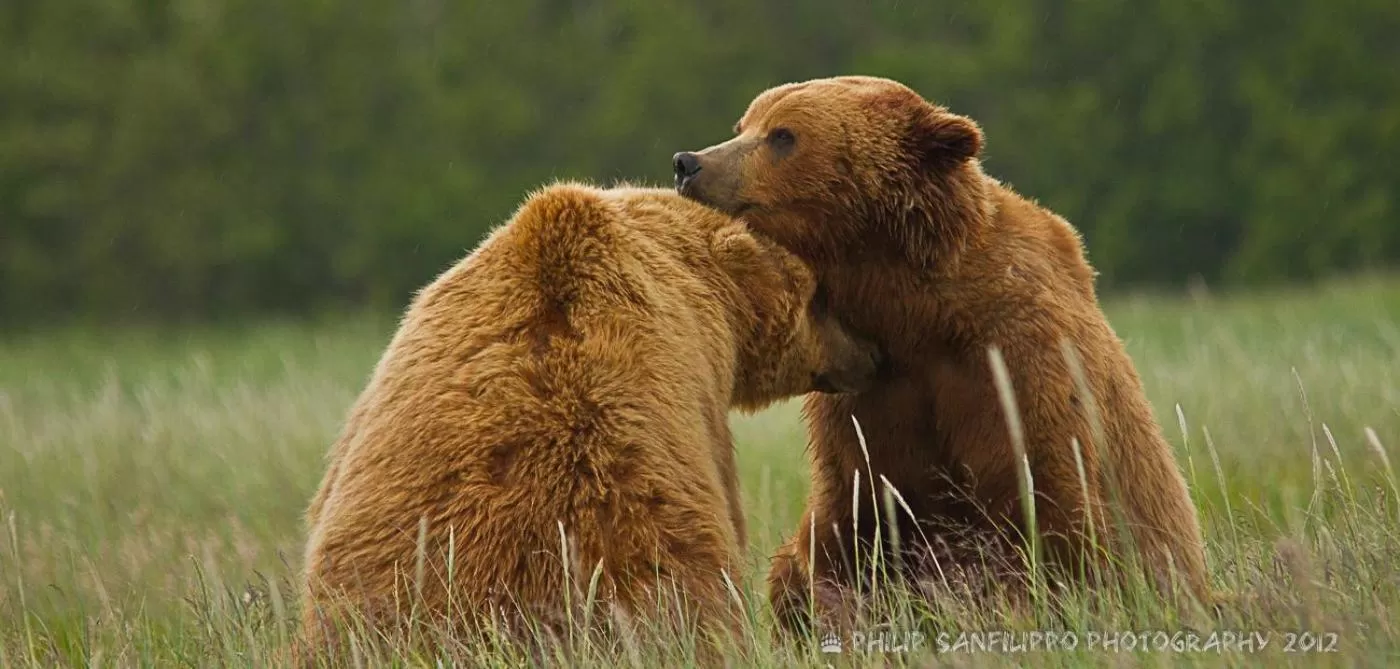 Off site in Halcyon Heights B&B/Inn