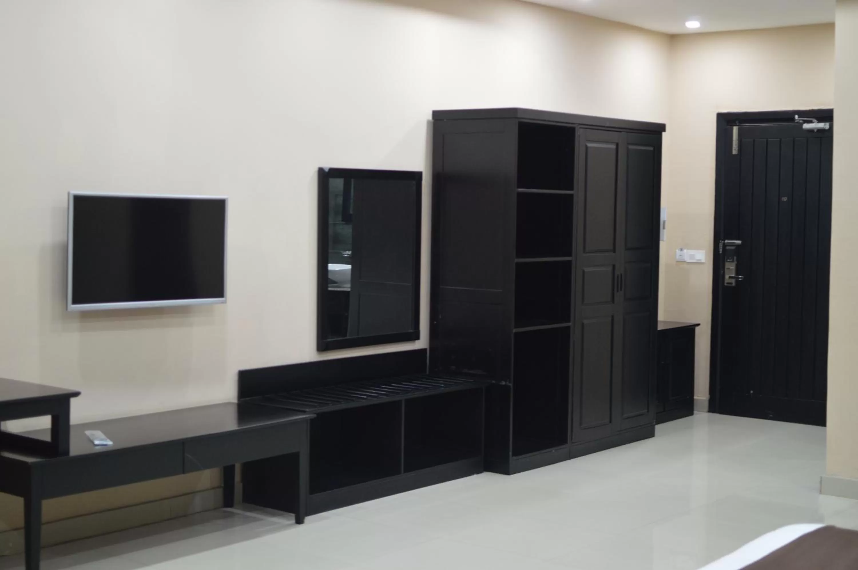 TV and multimedia in Palm Kalash Hotel